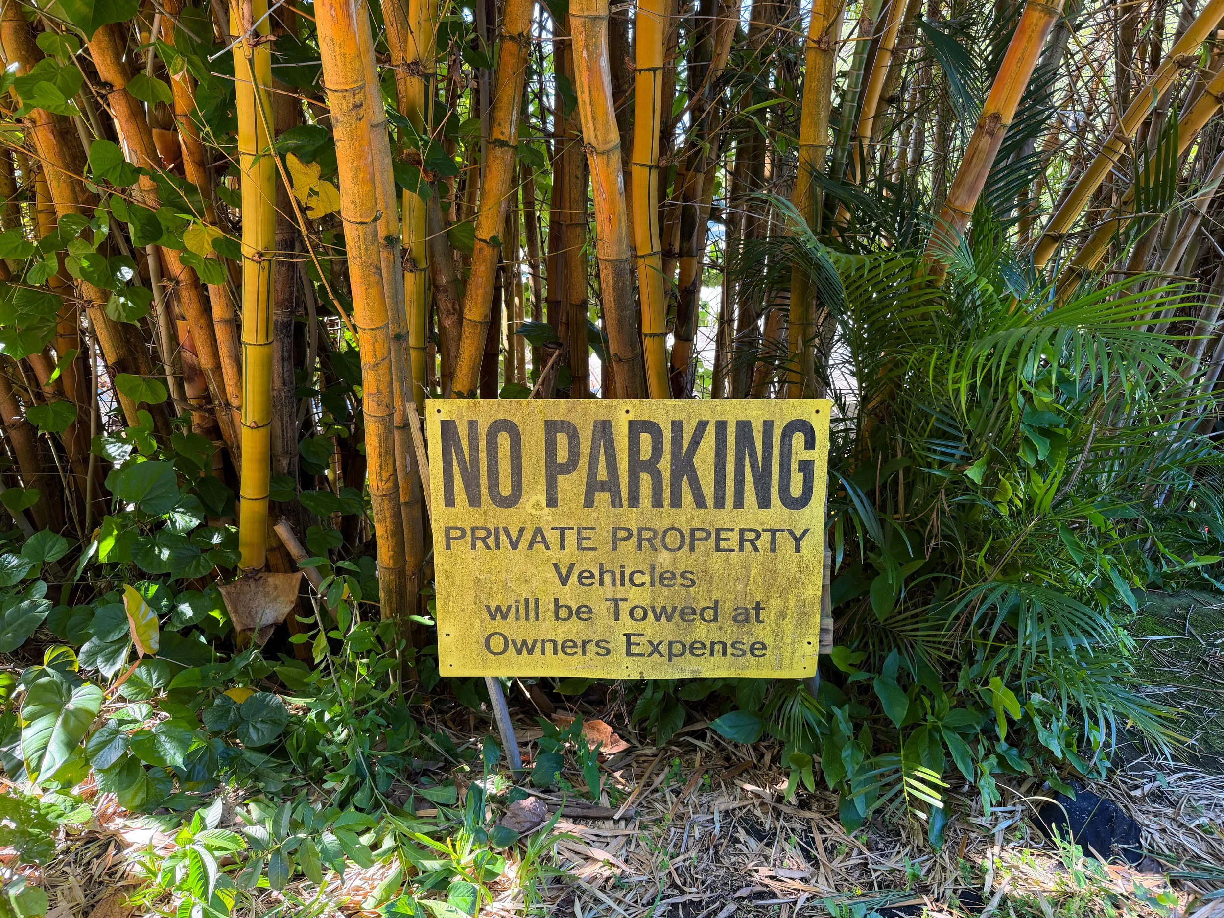 Walking to the Kaau Crater Trailhead Oahu Hawaii