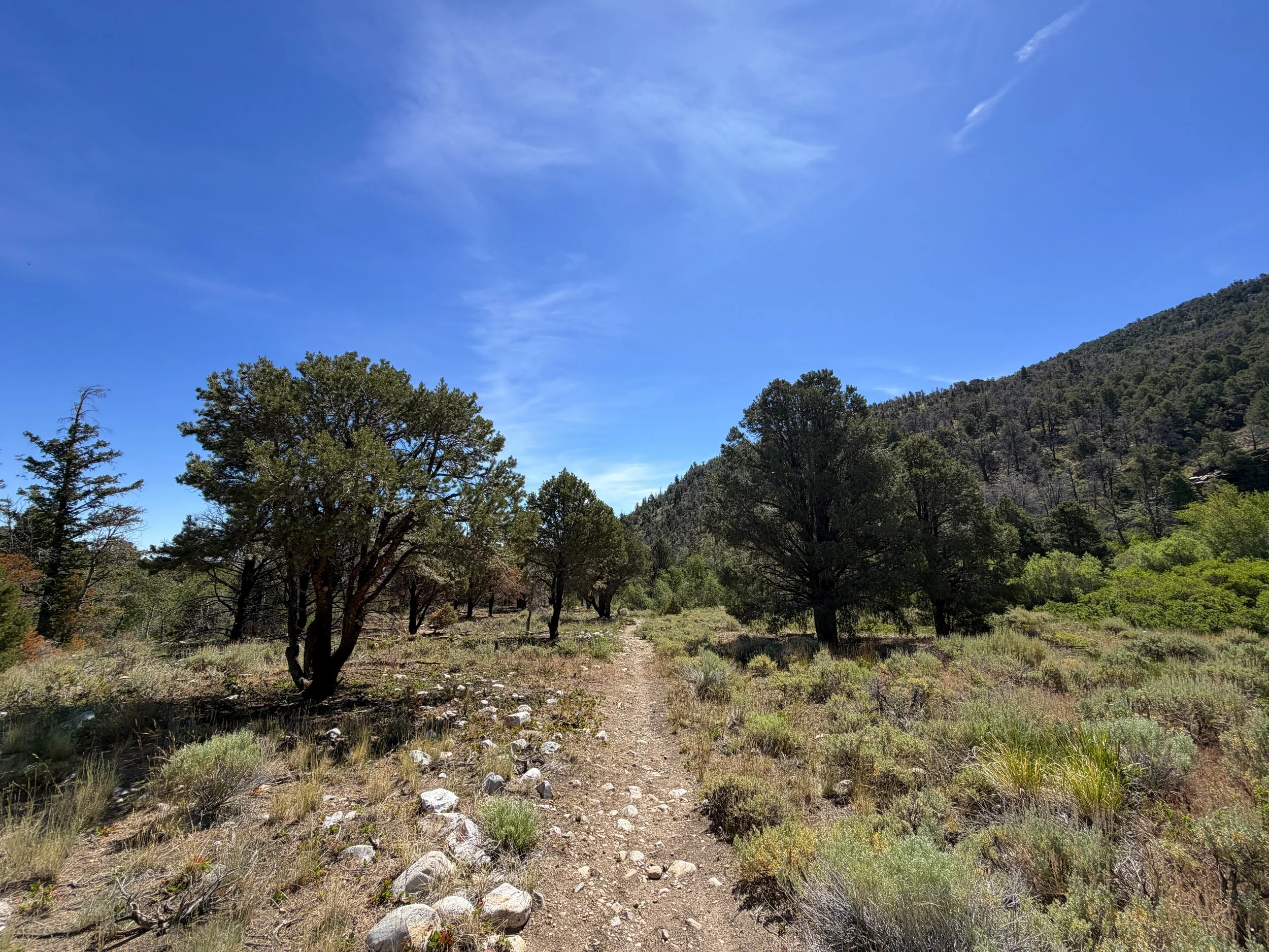 Pole Canyon Trail Great Basin National Park Nevada