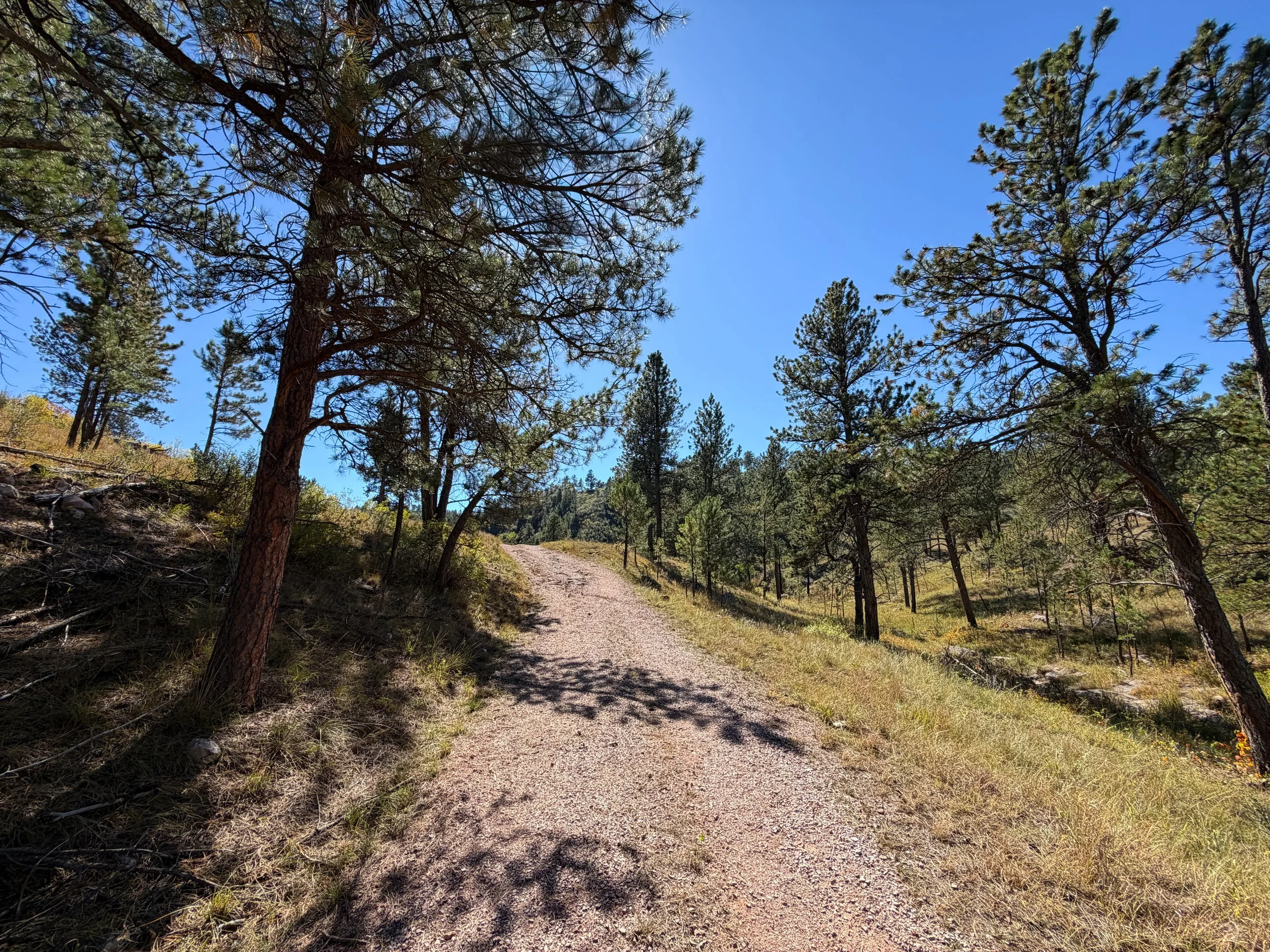 Wind Cave Canyon Trail Wind Cave National Park South Dakota