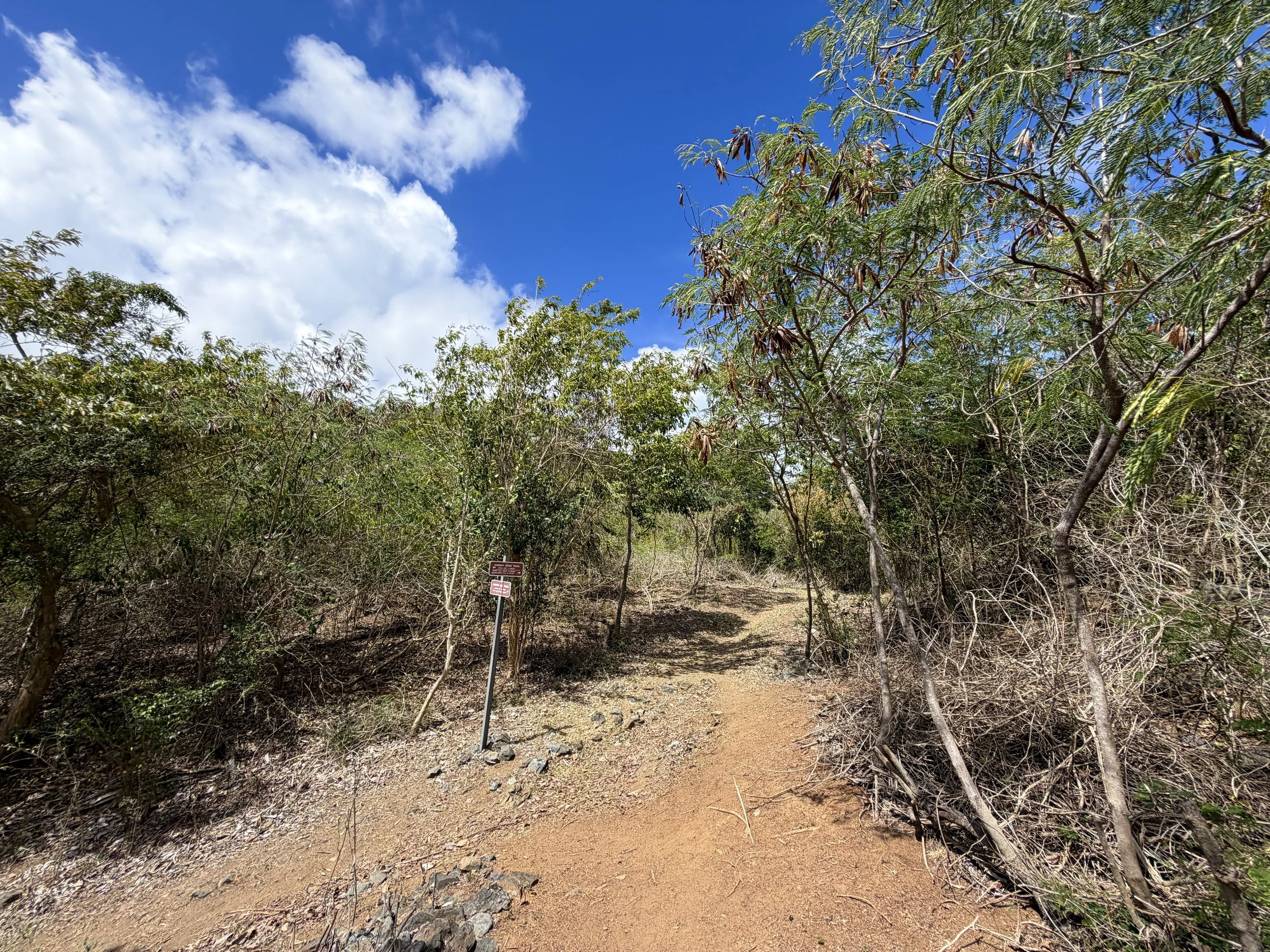 Brown Bay Trail Virgin Islands National Park