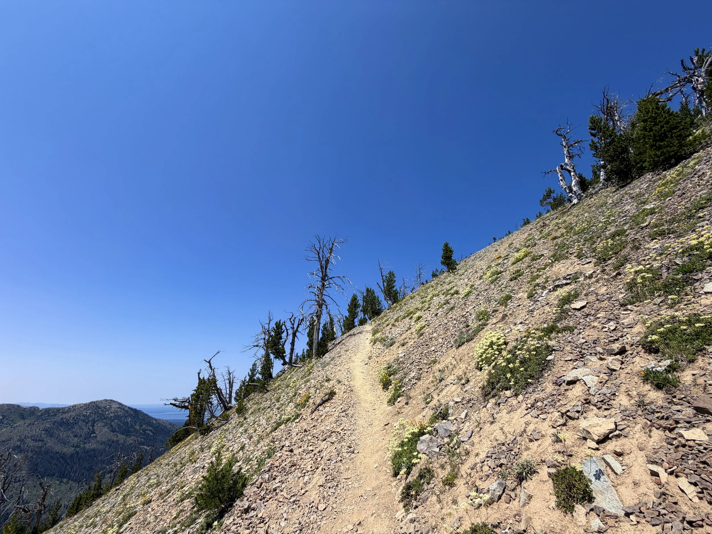 Avalanche Peak Trail Yellowstone National Park Wyoming