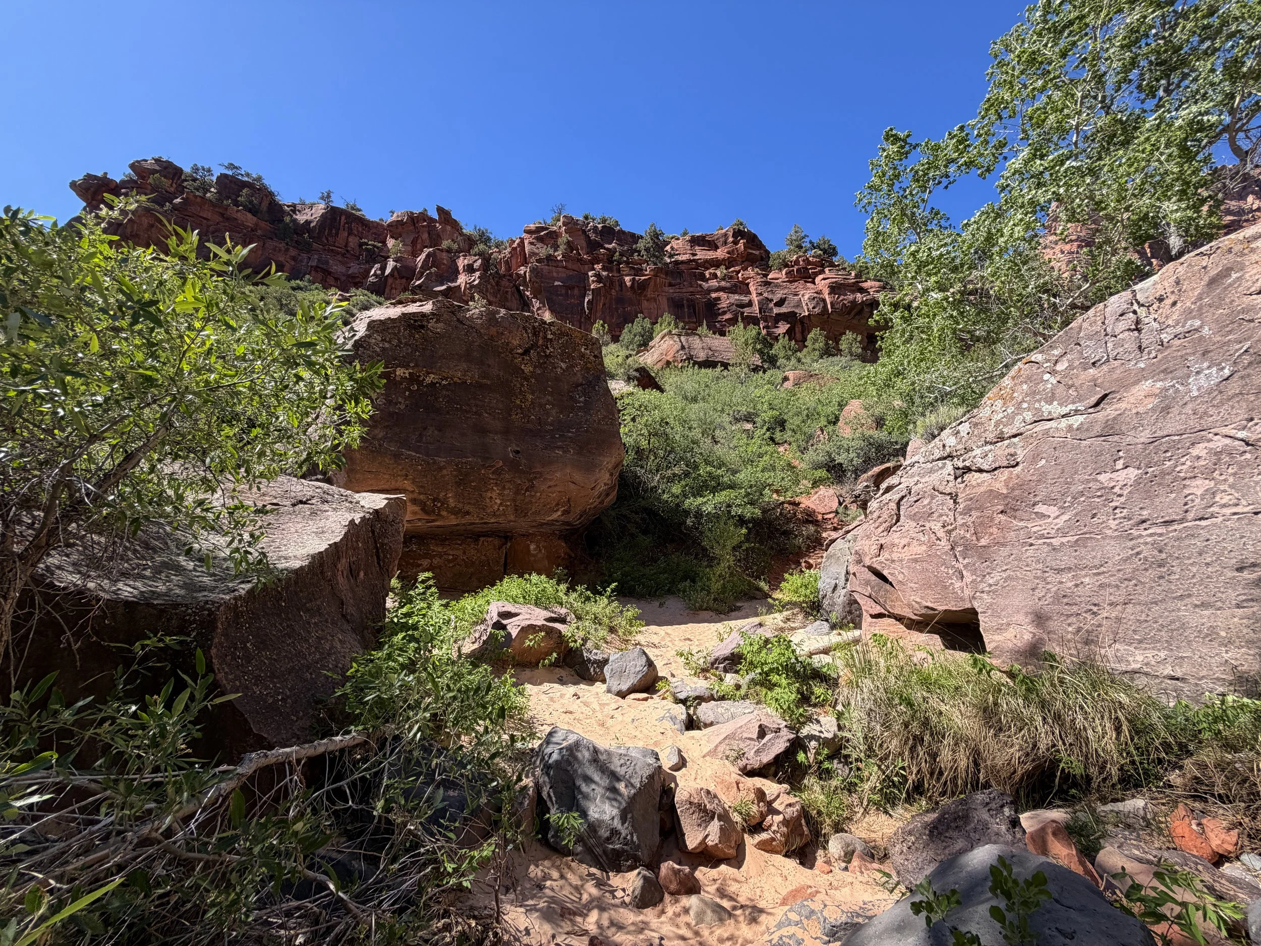 Subway Trail via Left Fork Trailhead Zion National Park Utah