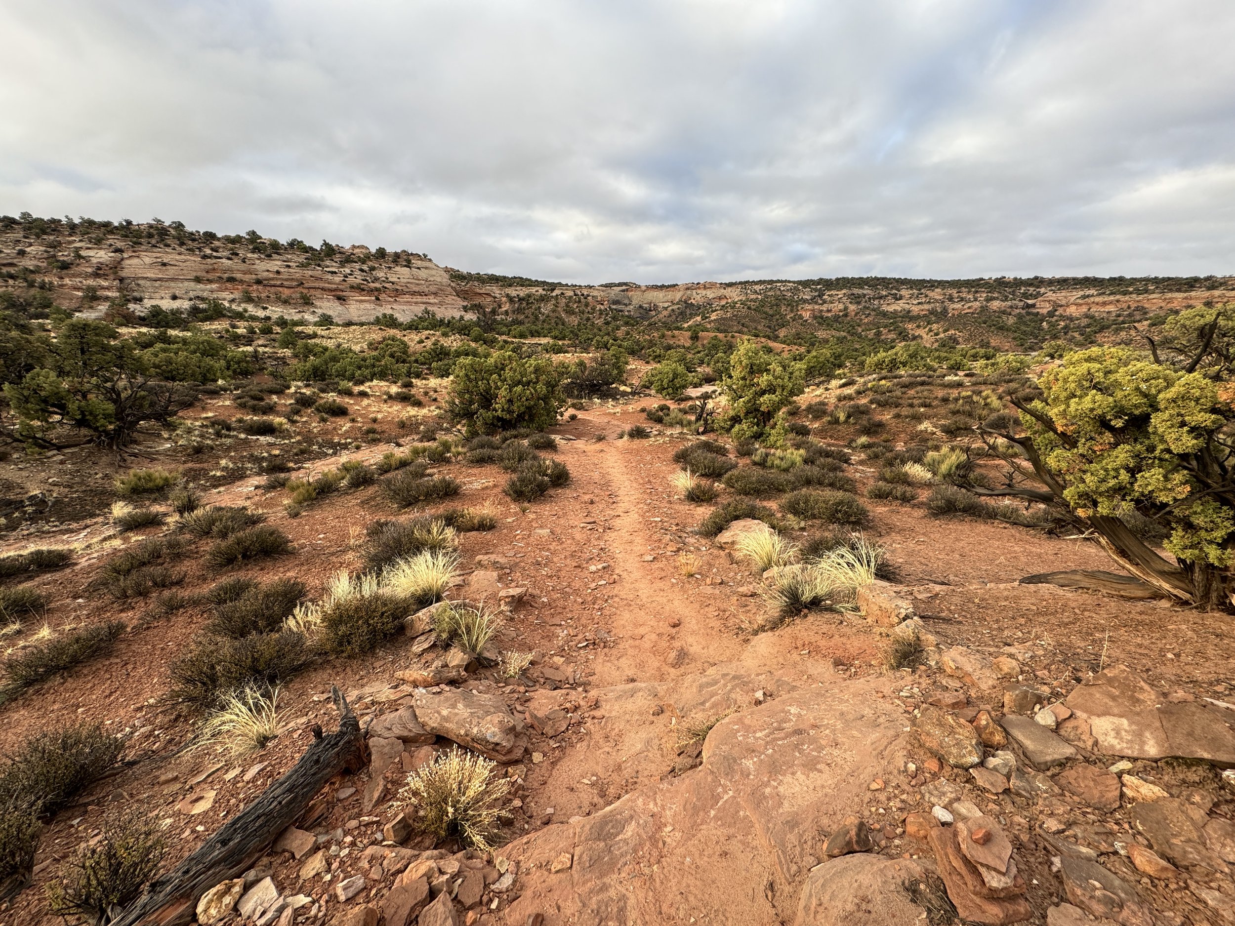 Neck spring canyonlands hotsell