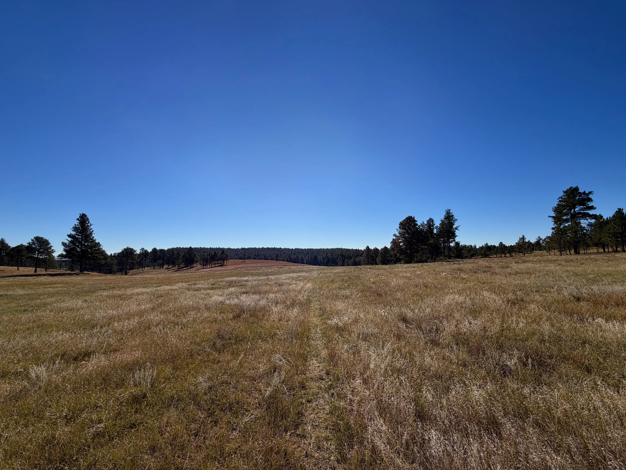Sanctuary Hike Wind Cave National Park South Dakota