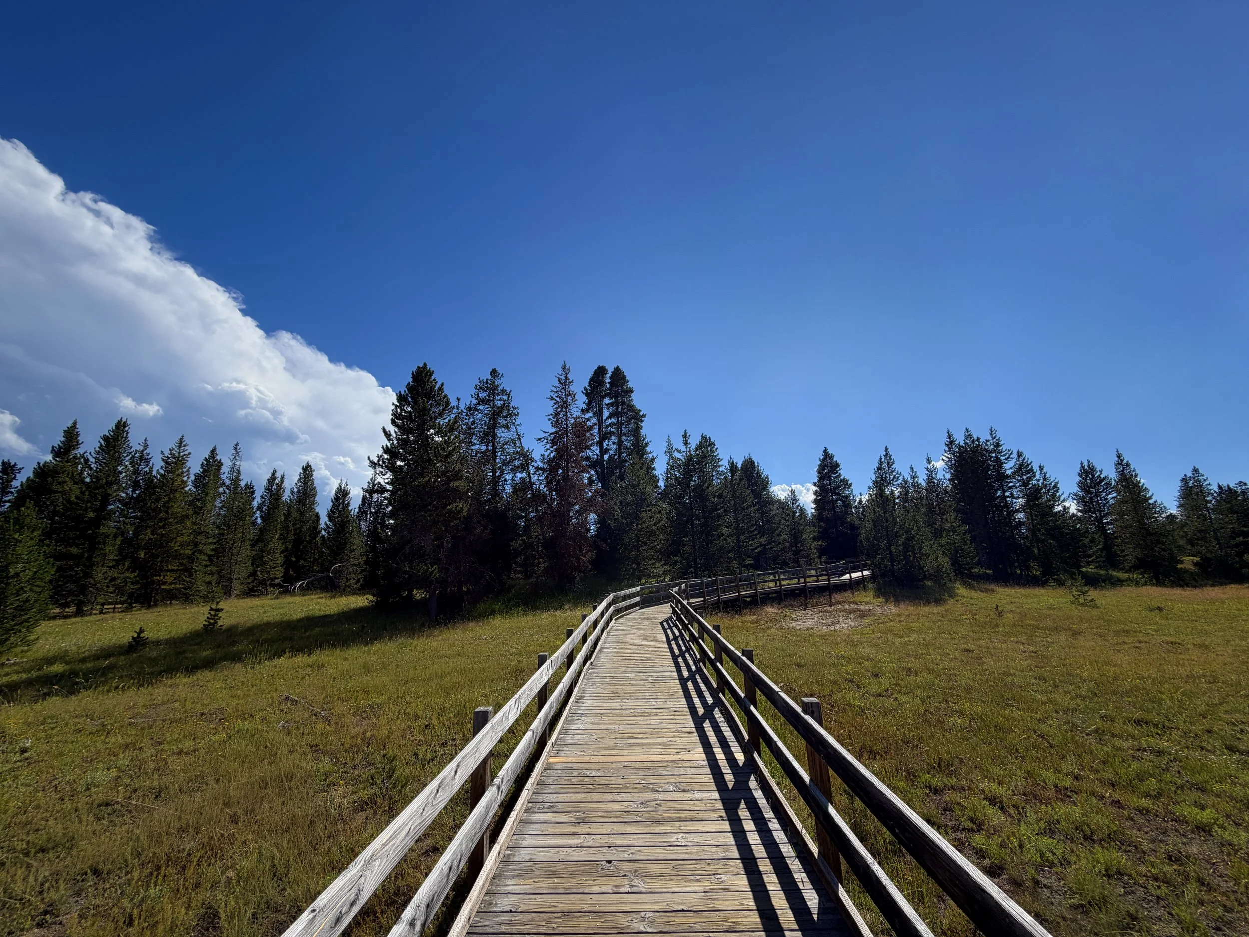 West Thumb Geyser Basin Trail Yellowstone National Park Wyoming