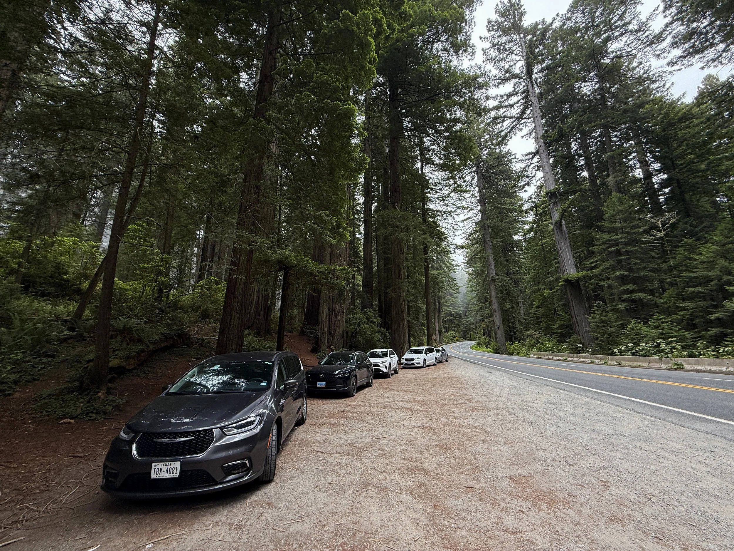 Damnation Creek Trailhead Parking Del Norte Coast Redwoods State Park California