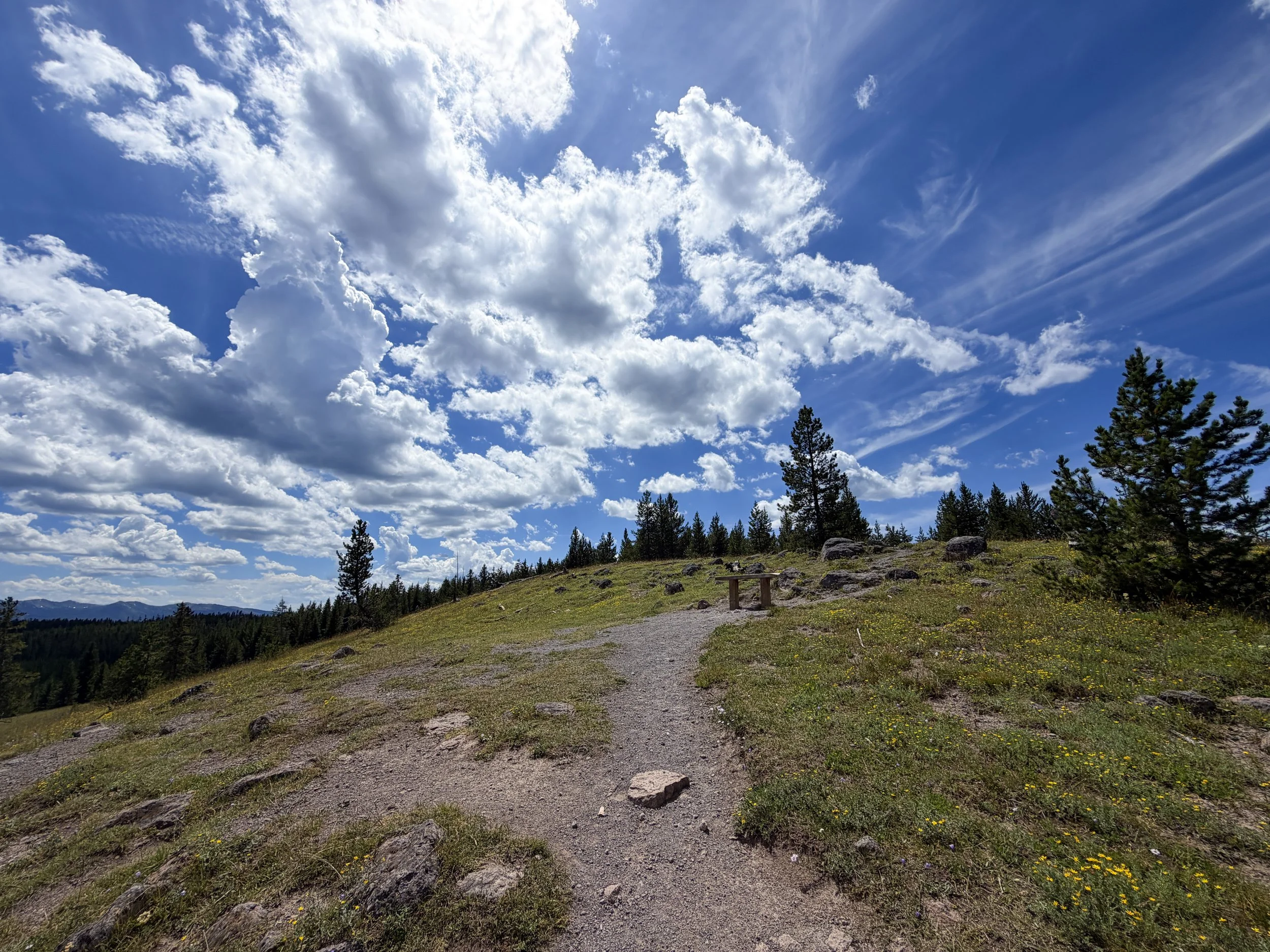 Yellowstone Lake Overlook Yellowstone National Park Wyoming