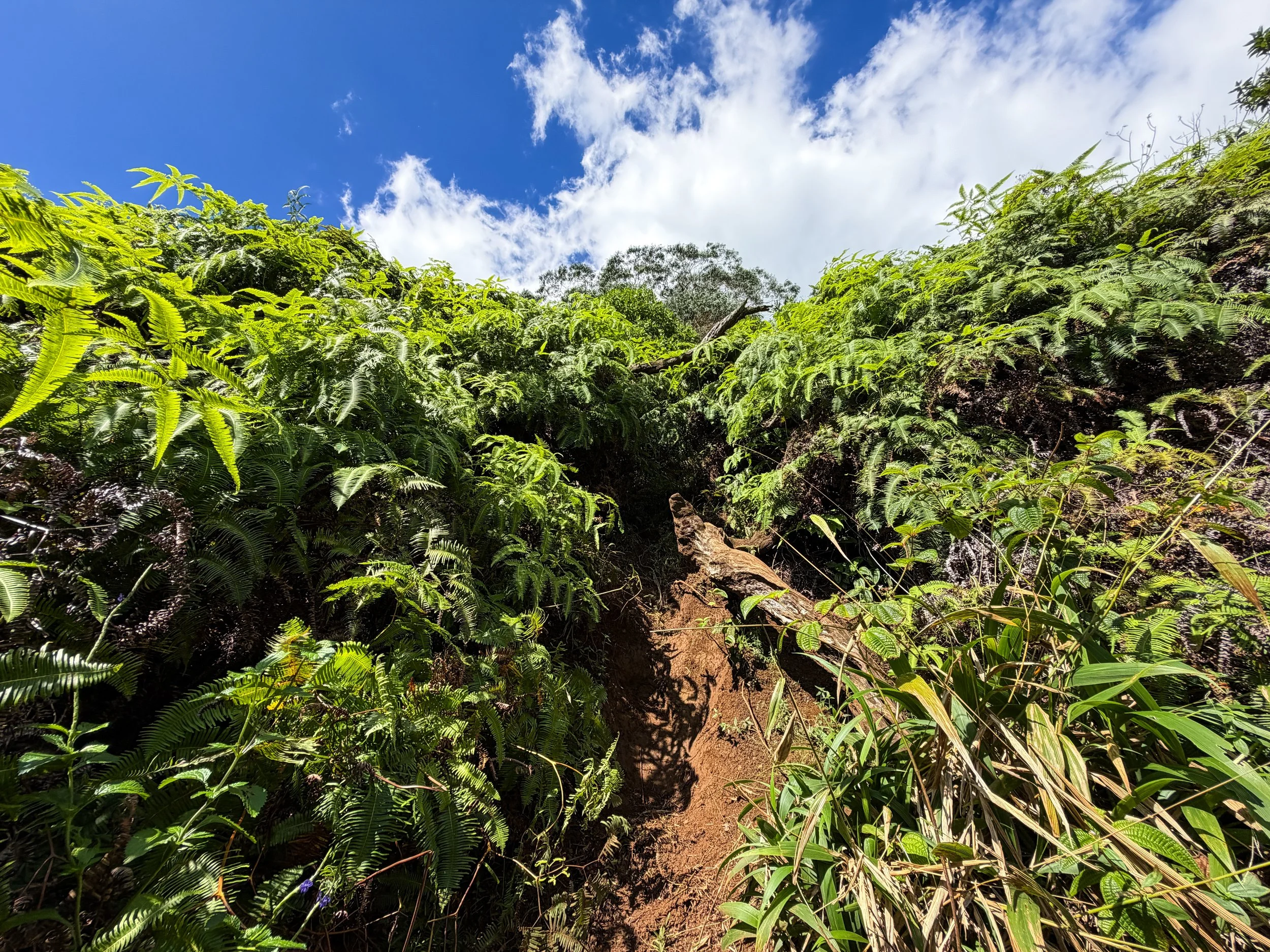 Third Waterfall Climb Kaau Crater Trail Oahu Hawaii