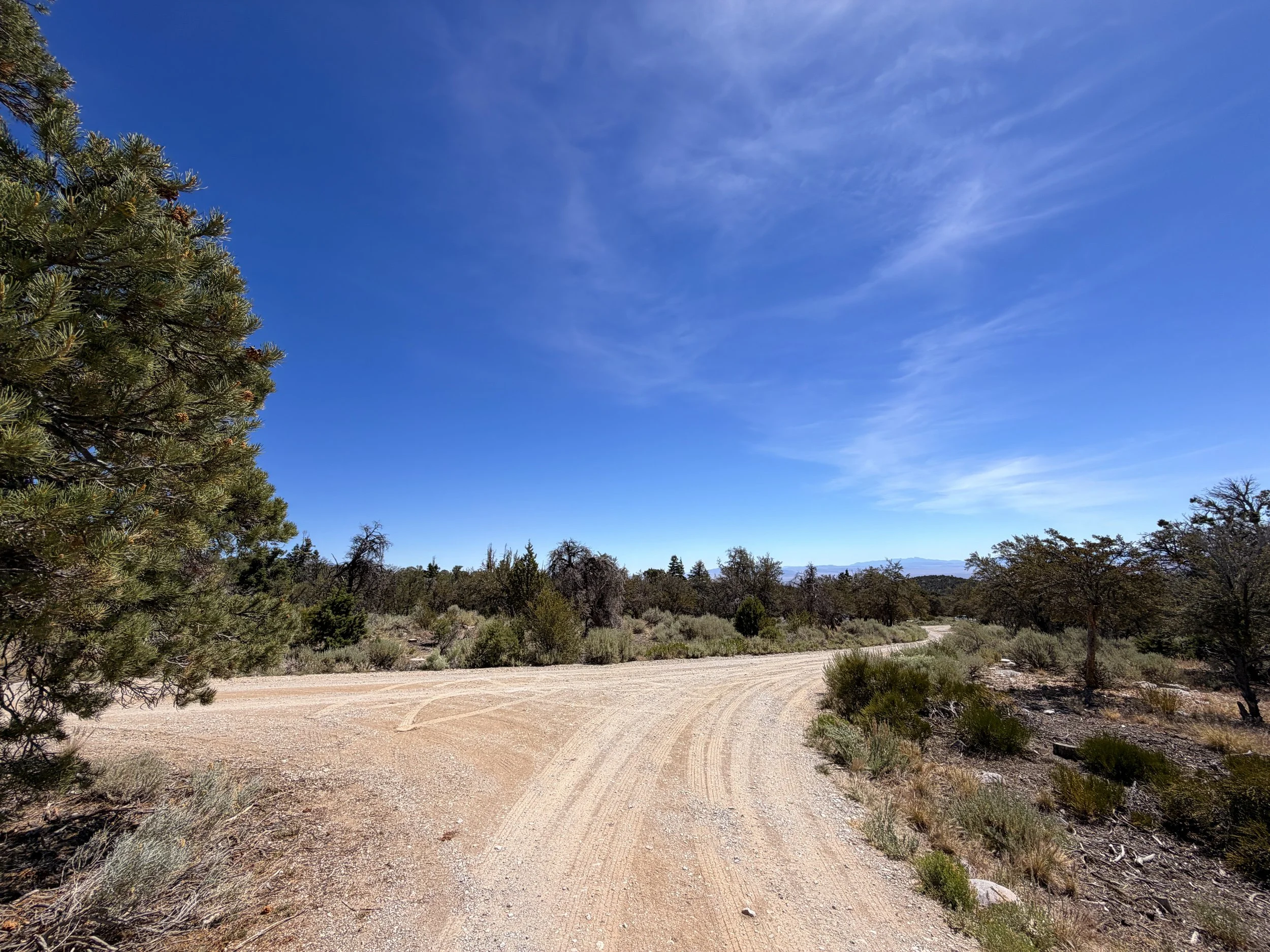 Grey Cliffs Campground Pole Canyon Trail Great Basin National Park Nevada