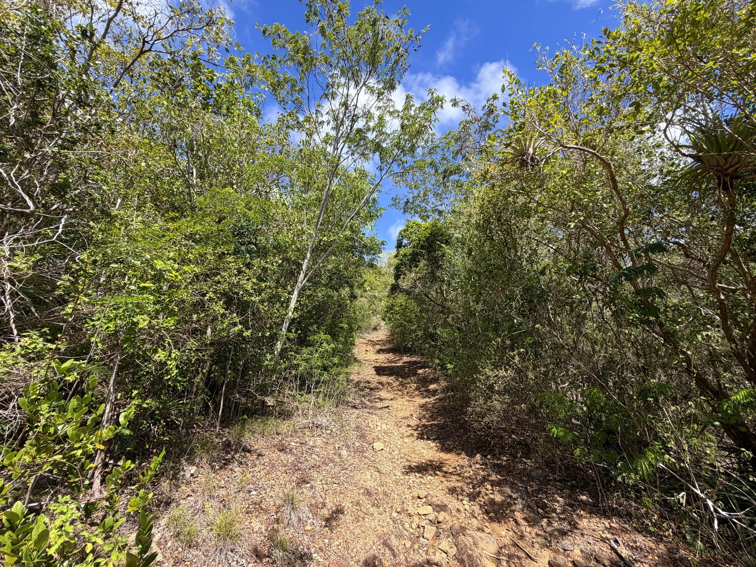 Lameshur Bay Trail Virgin Islands National Park