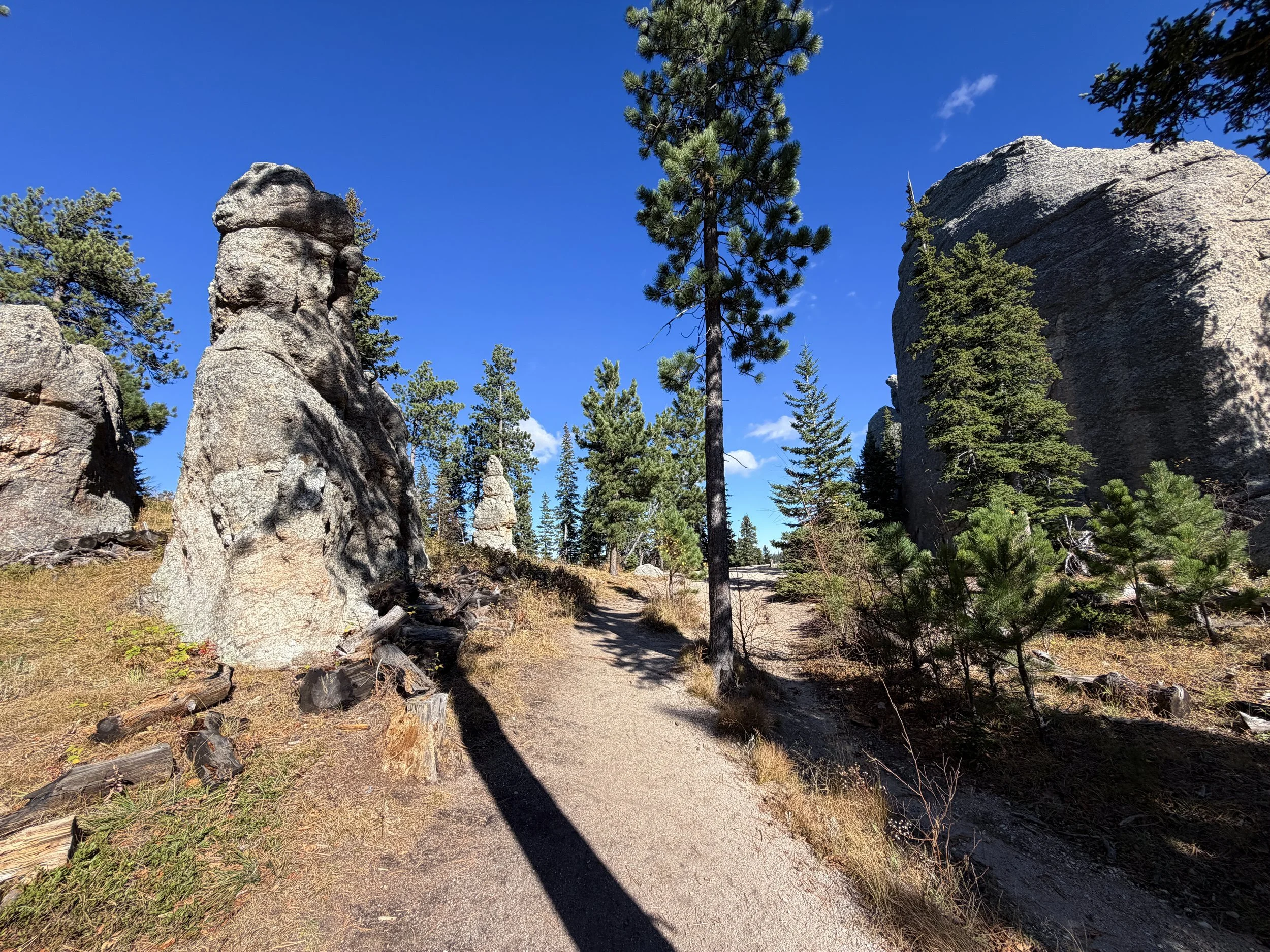 Cathedral Spires Trail Custer State Park Black Hills South Dakota