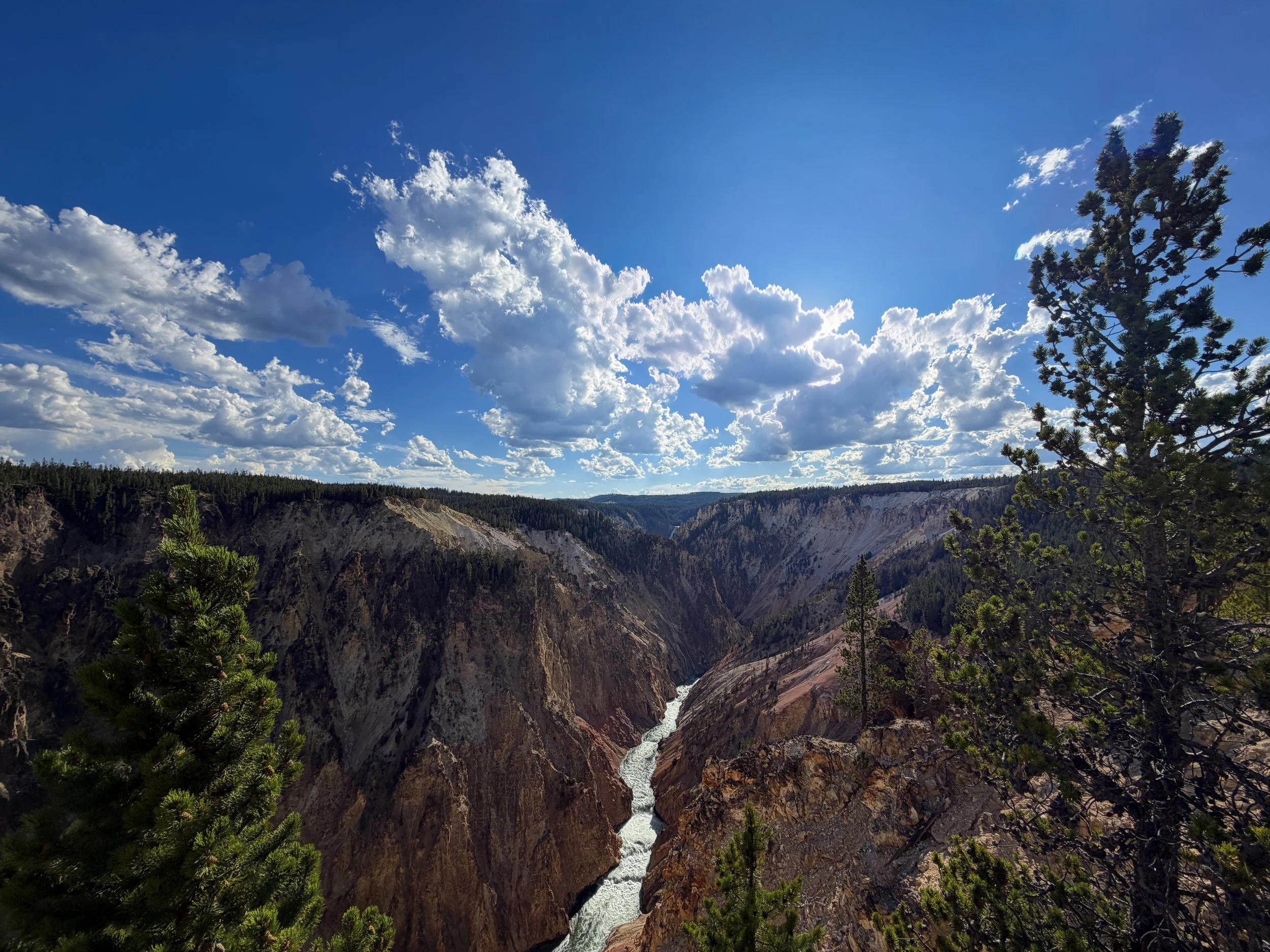 Inspiration Point Yellowstone National Park Wyoming