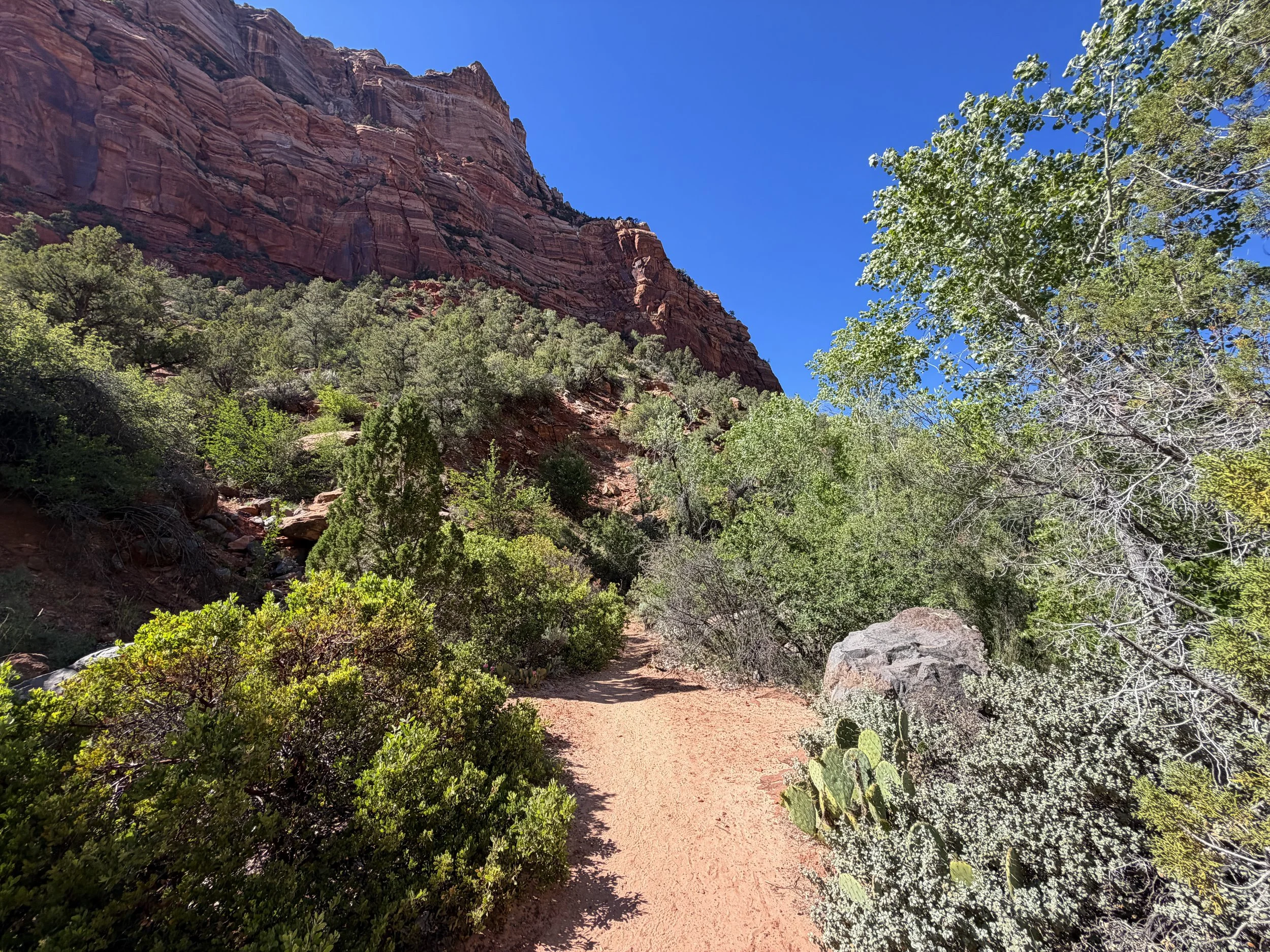 Subway Trail Bottom Up Route Zion National Park Utah