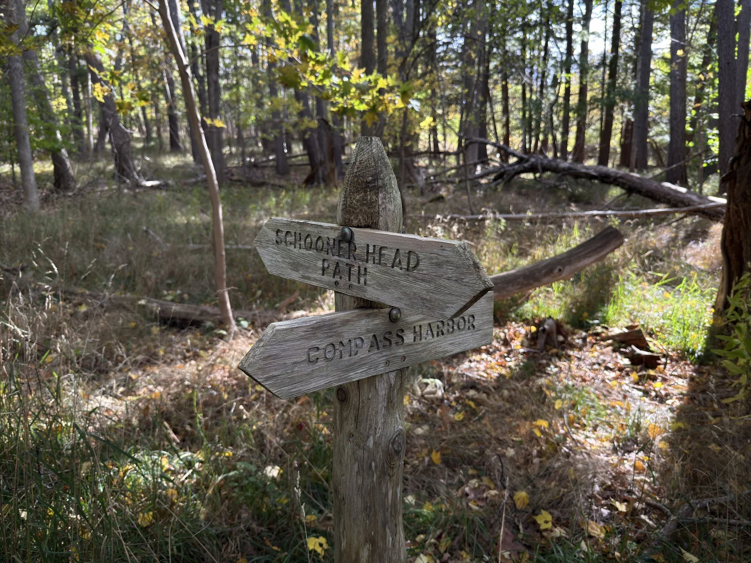 Hiking the Compass Harbor Trail in Acadia National Park — noahawaii