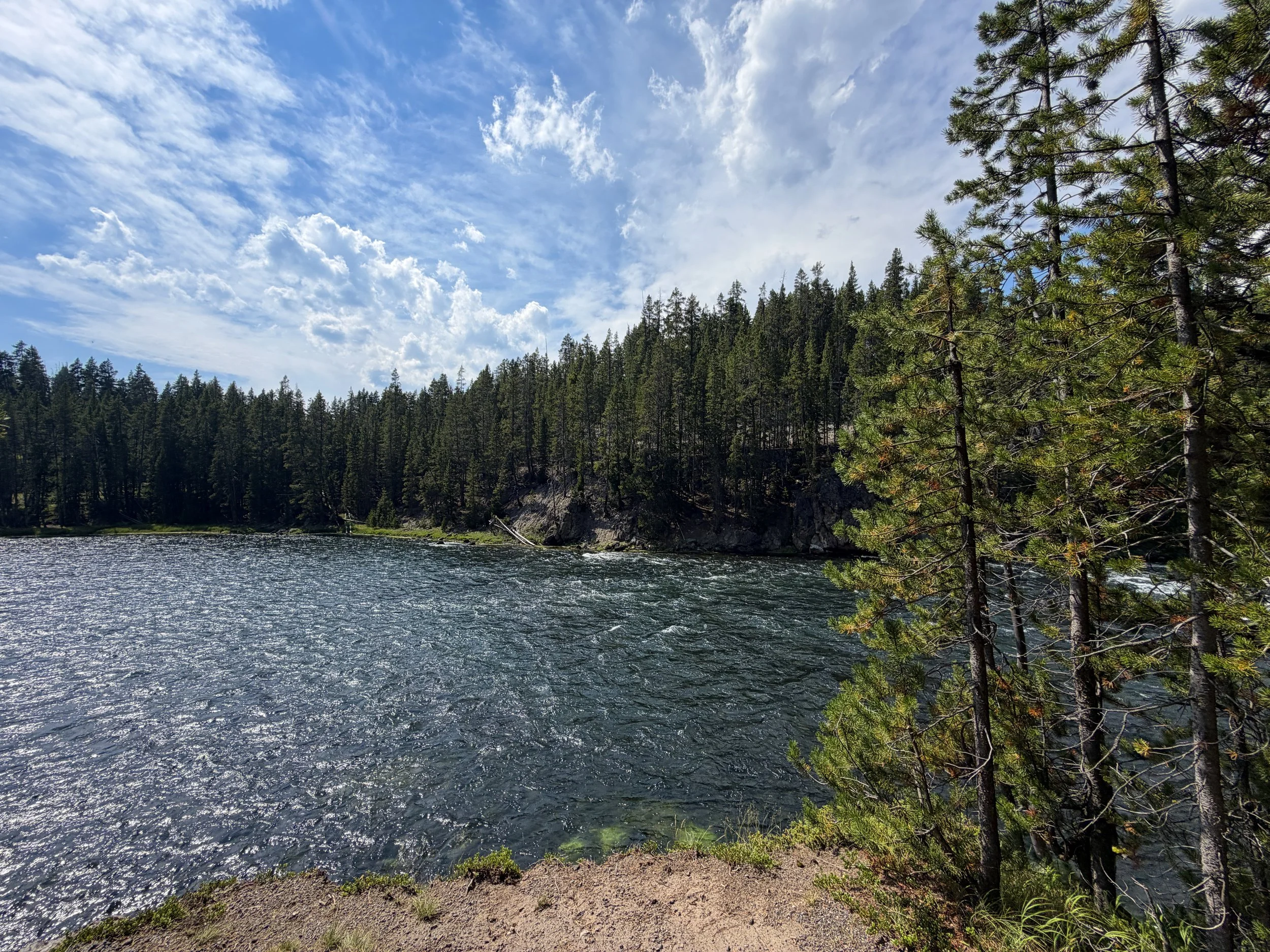 Yellowstone River South Rim Trail Yellowstone National Park Wyoming