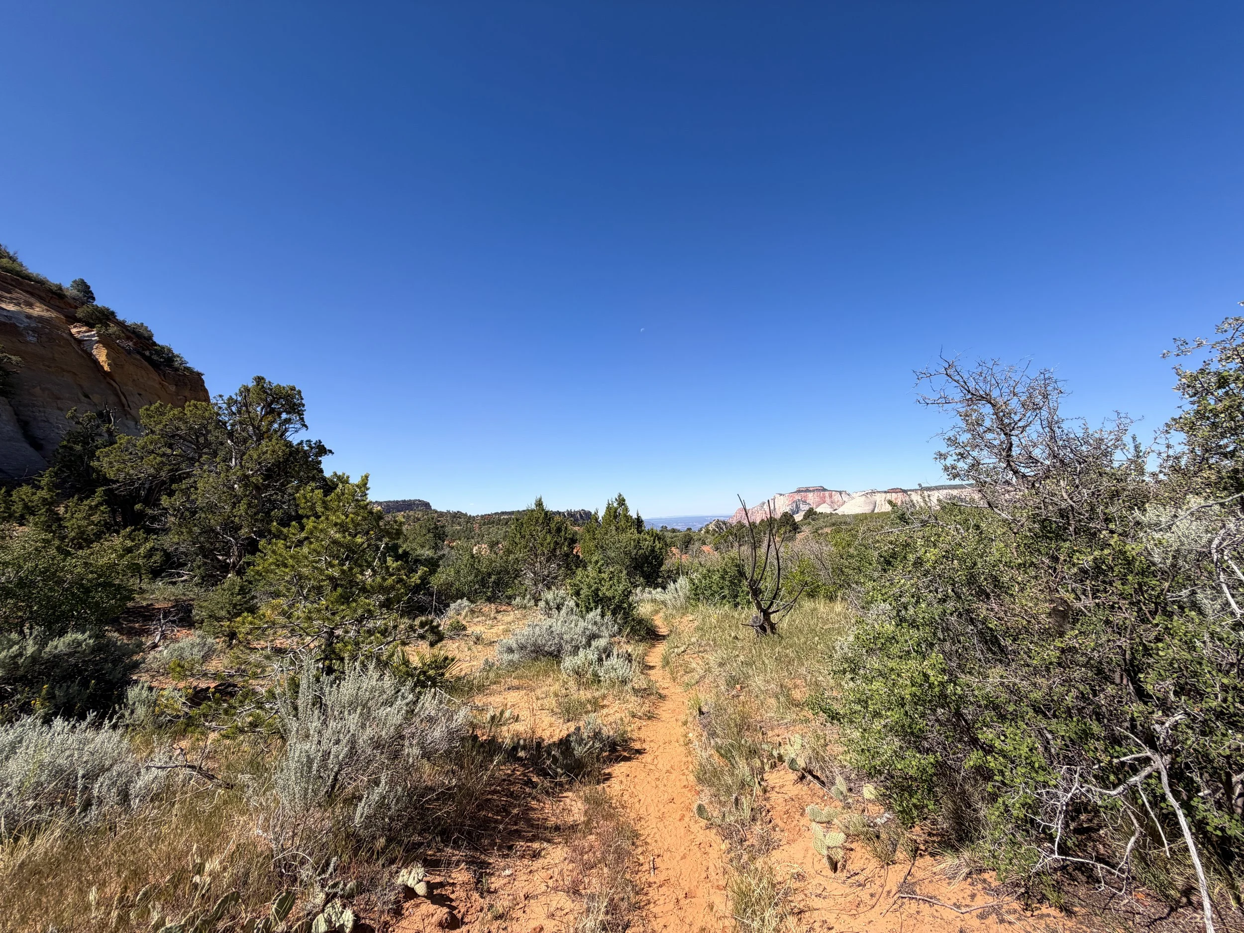 Deertrap Mountain Trail Zion National Park Utah