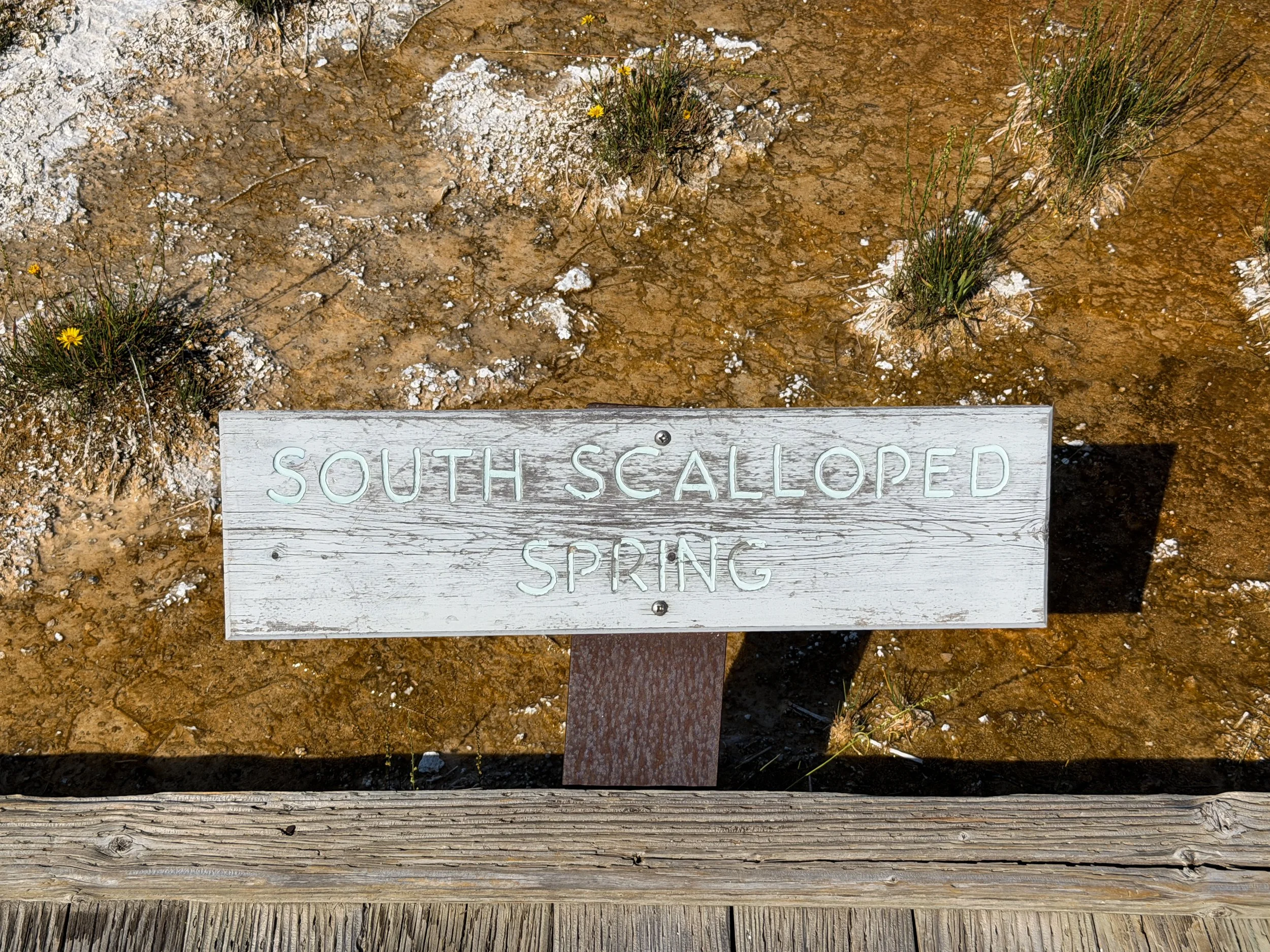 South Scalloped Spring Yellowstone National Park Wyoming