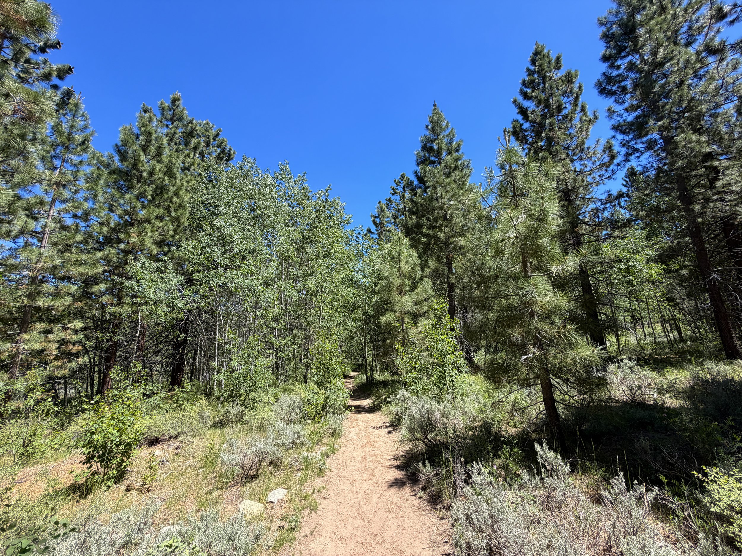 Spooner Lake Loop Trail Lake Tahoe Nevada