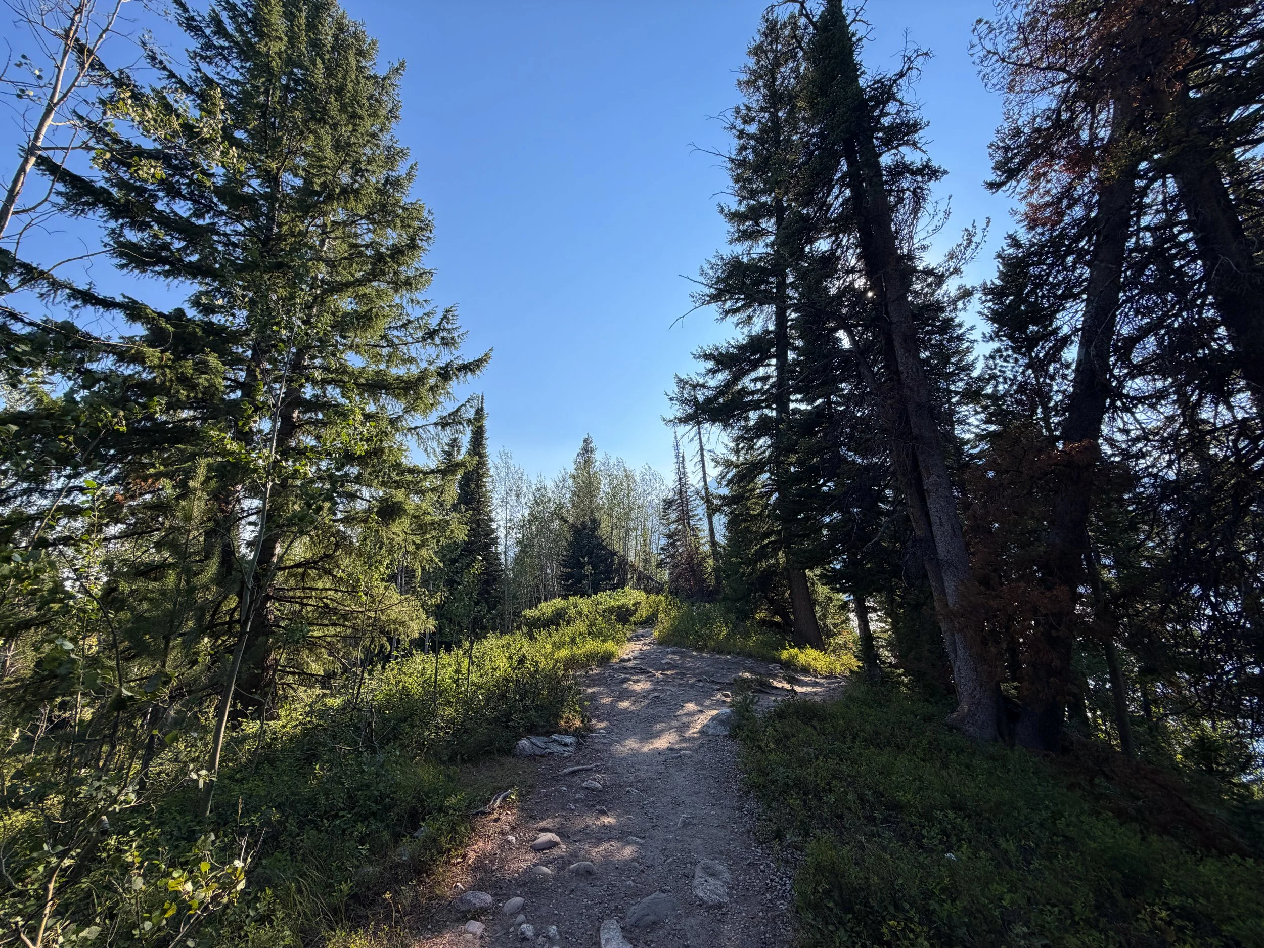 Jenny Lake Loop Trail Grand Teton National Park Wyoming