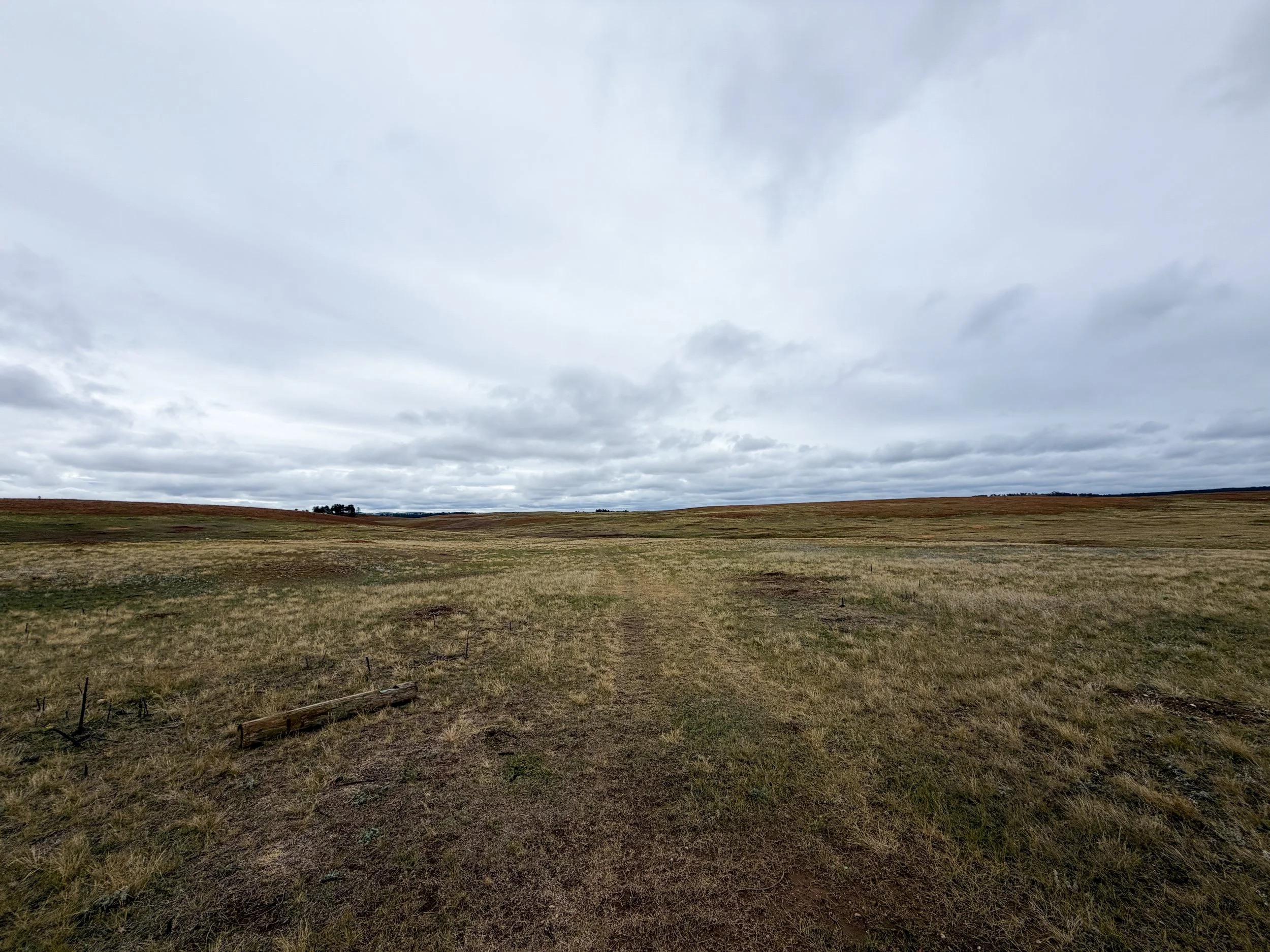 Highland Creek Trail Wind Cave National Park South Dakota