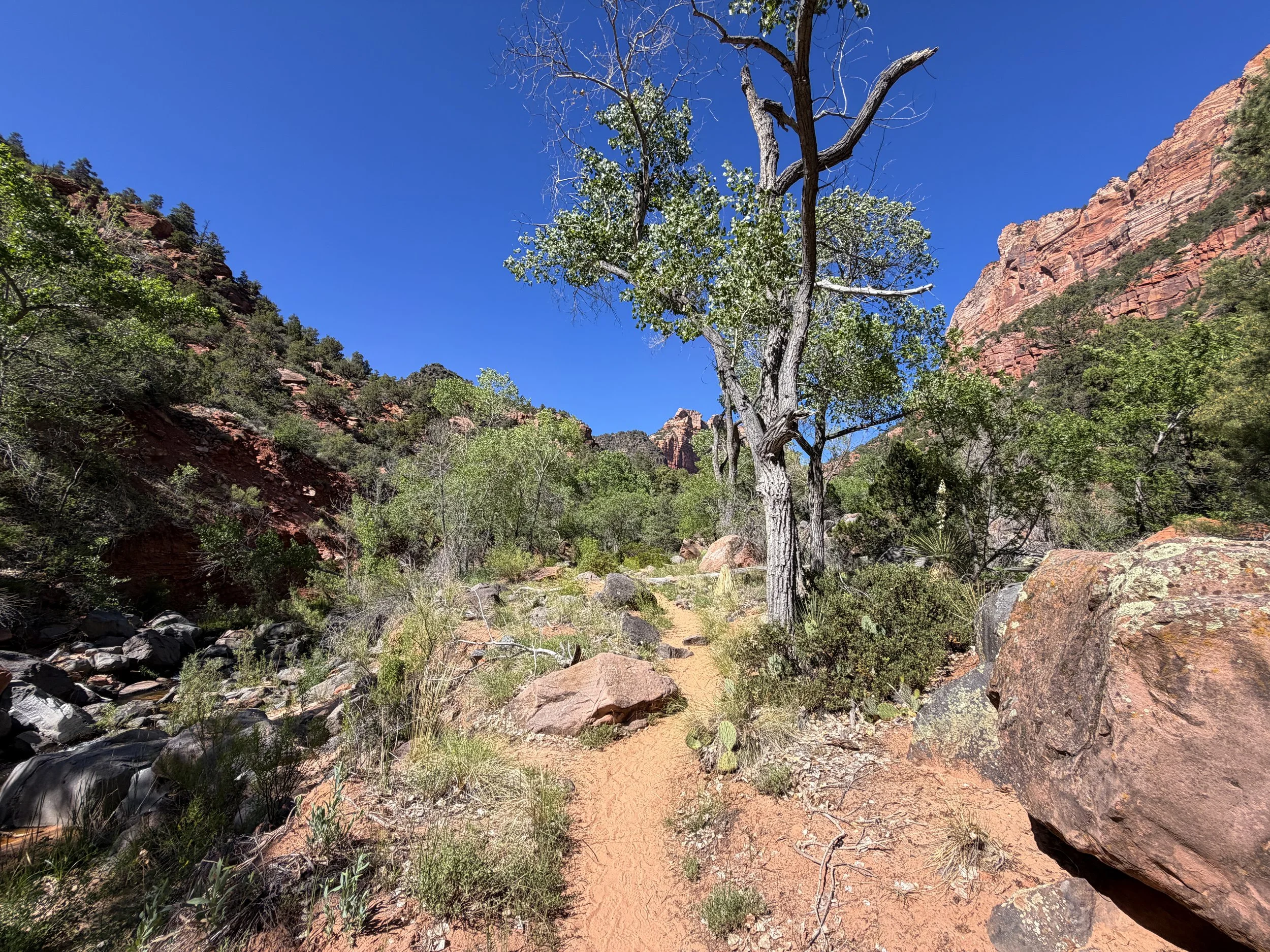 Subway Trail Bottom–Up Route Zion National Park Utah