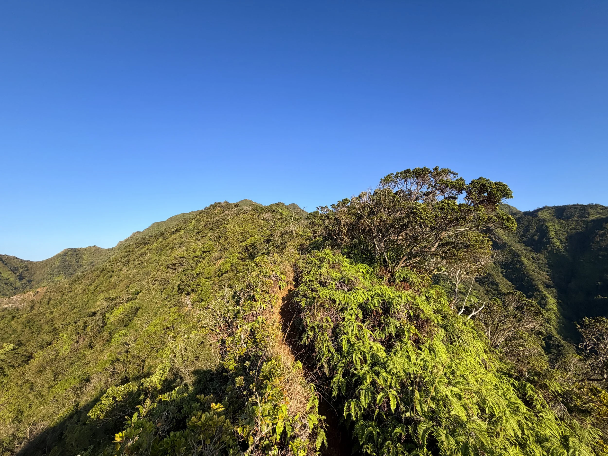Moanalua Middle Ridge Hike Oahu Hawaii