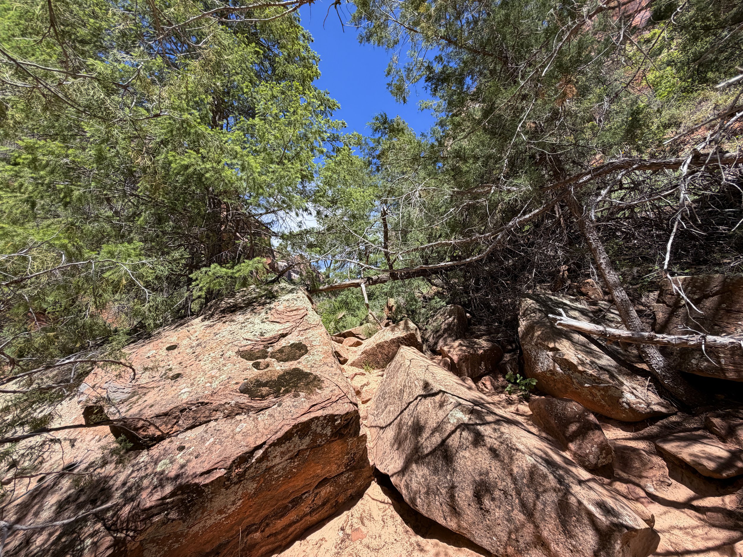 Left Fork North Creek Trail to the Subway Zion National Park Utah