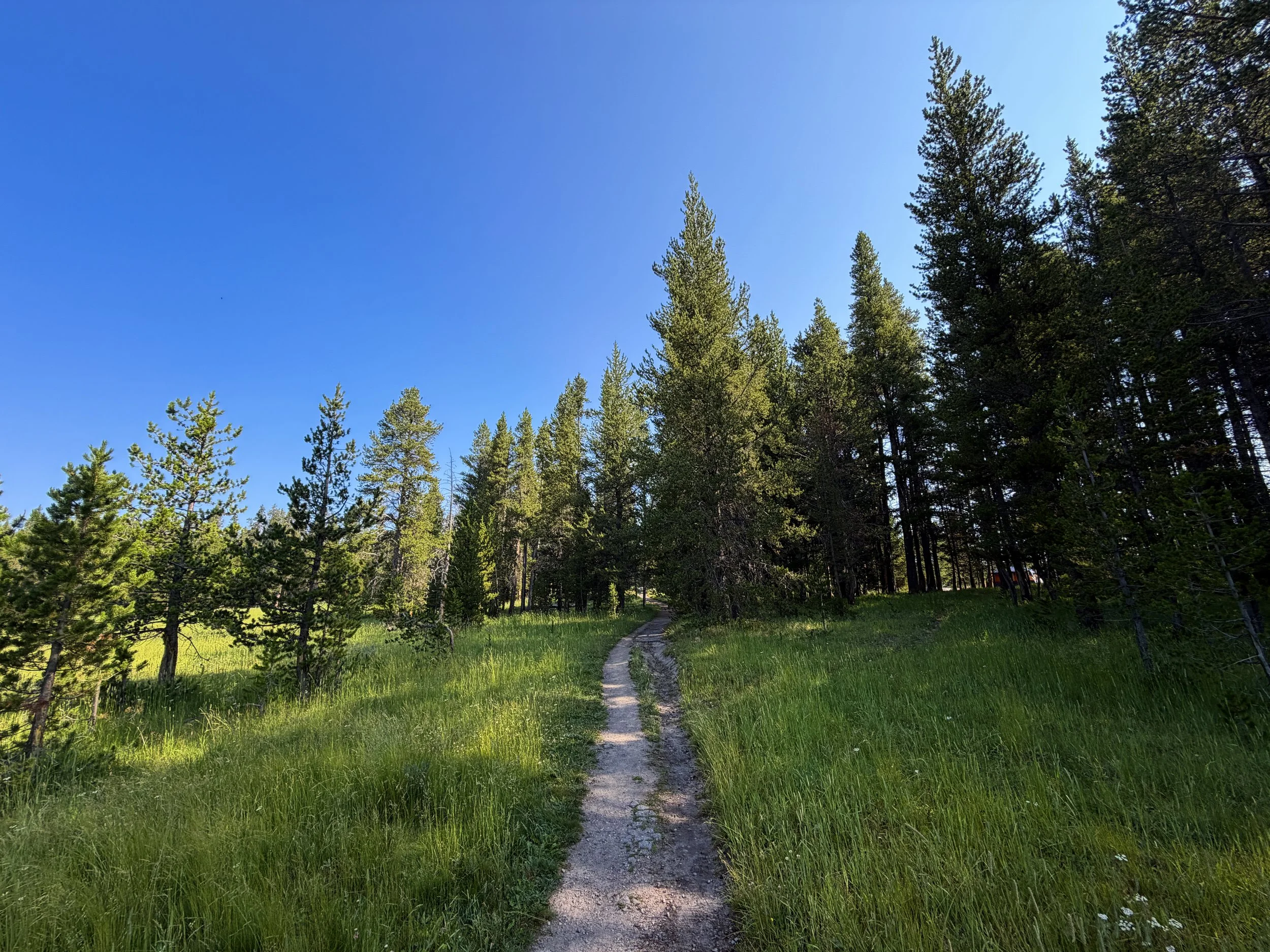 Natural Bridge Trail Yellowstone National Park Wyoming