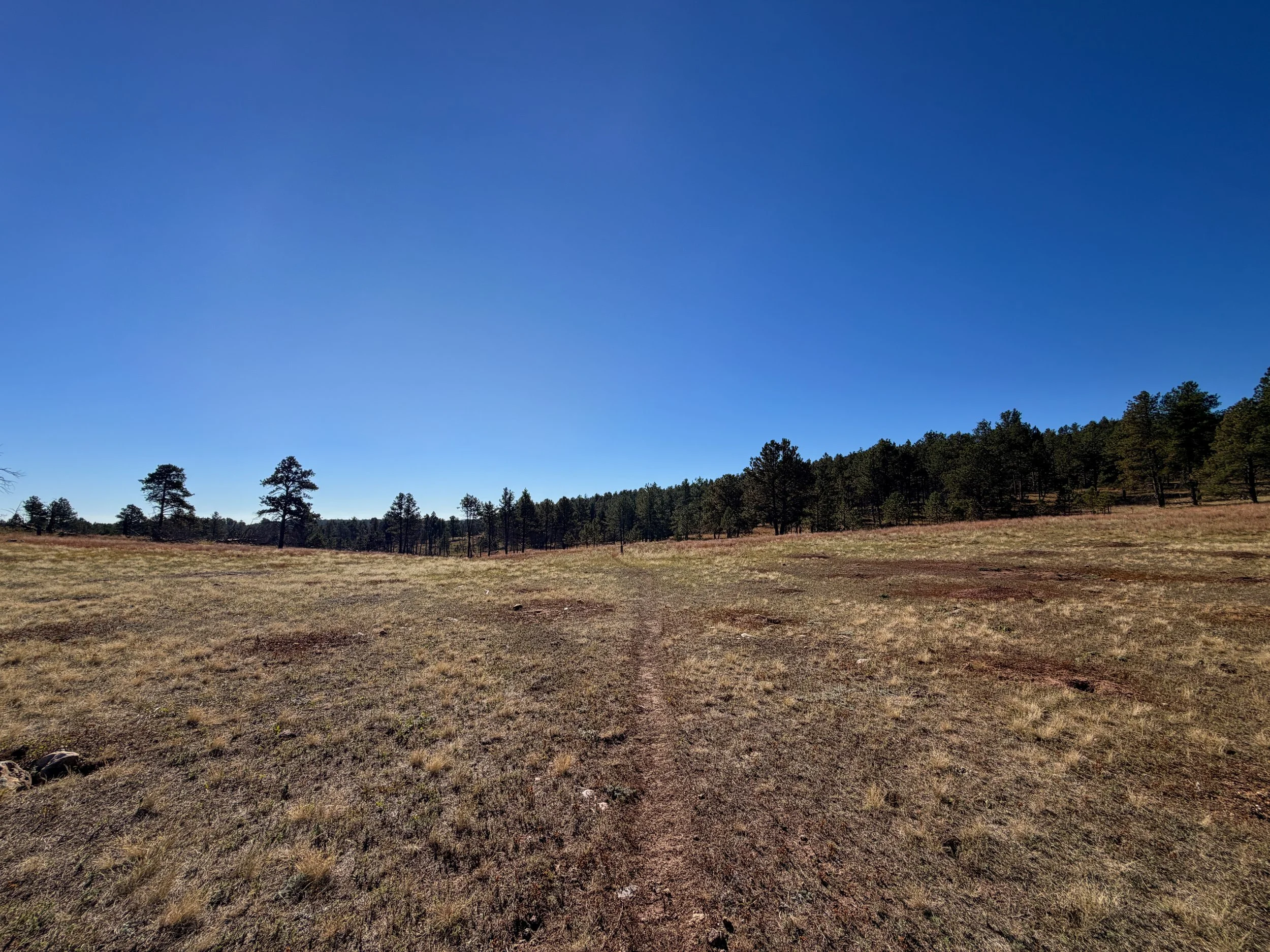 Sanctuary Trail Wind Cave National Park South Dakota
