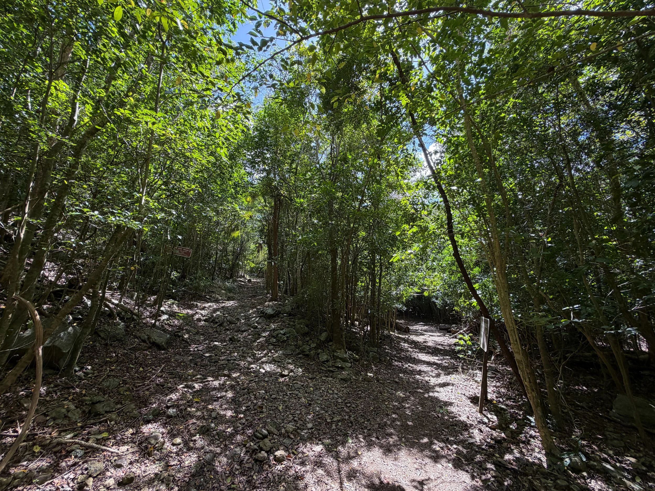Reef Bay Trail Lameshur Bay Split Virgin Islands National Park