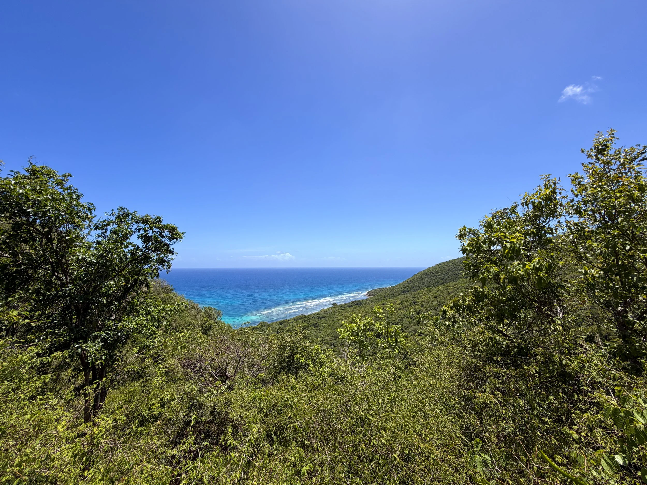 LEsperance Trail Virgin Islands National Park