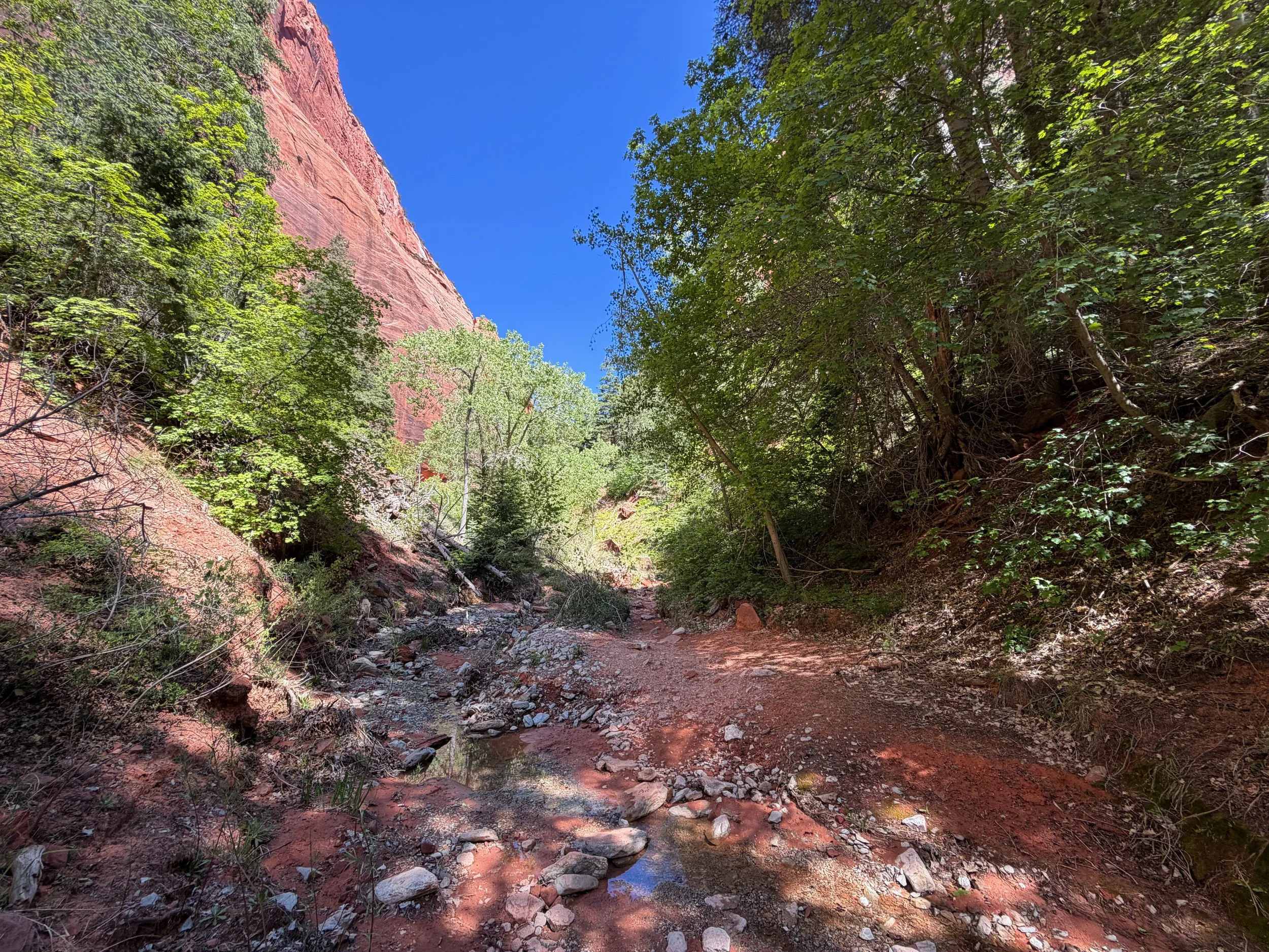 Middle Taylor Creek Trail Zion National Park Utah