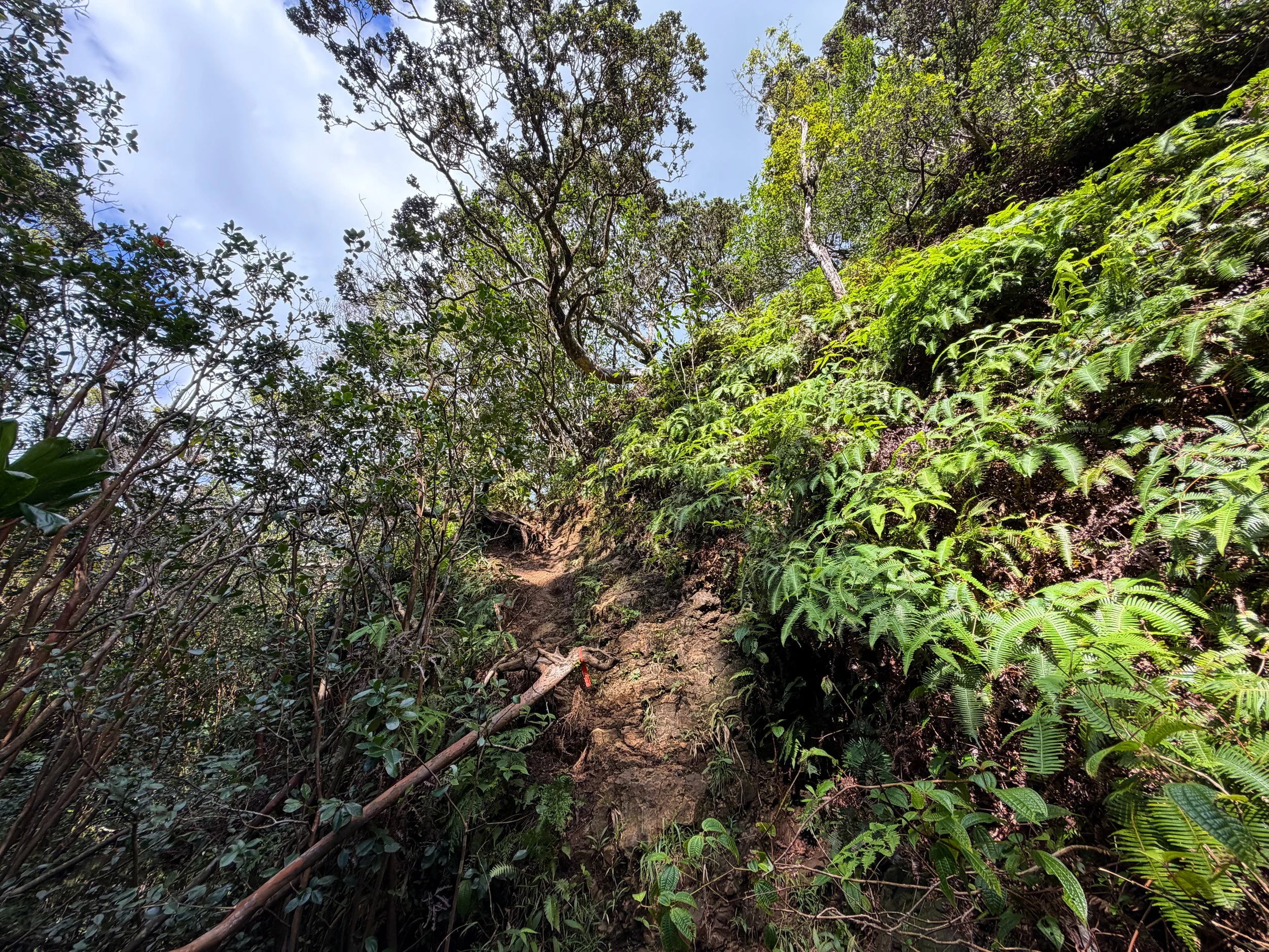 Kaau Crater Loop Trail Oahu Hawaii
