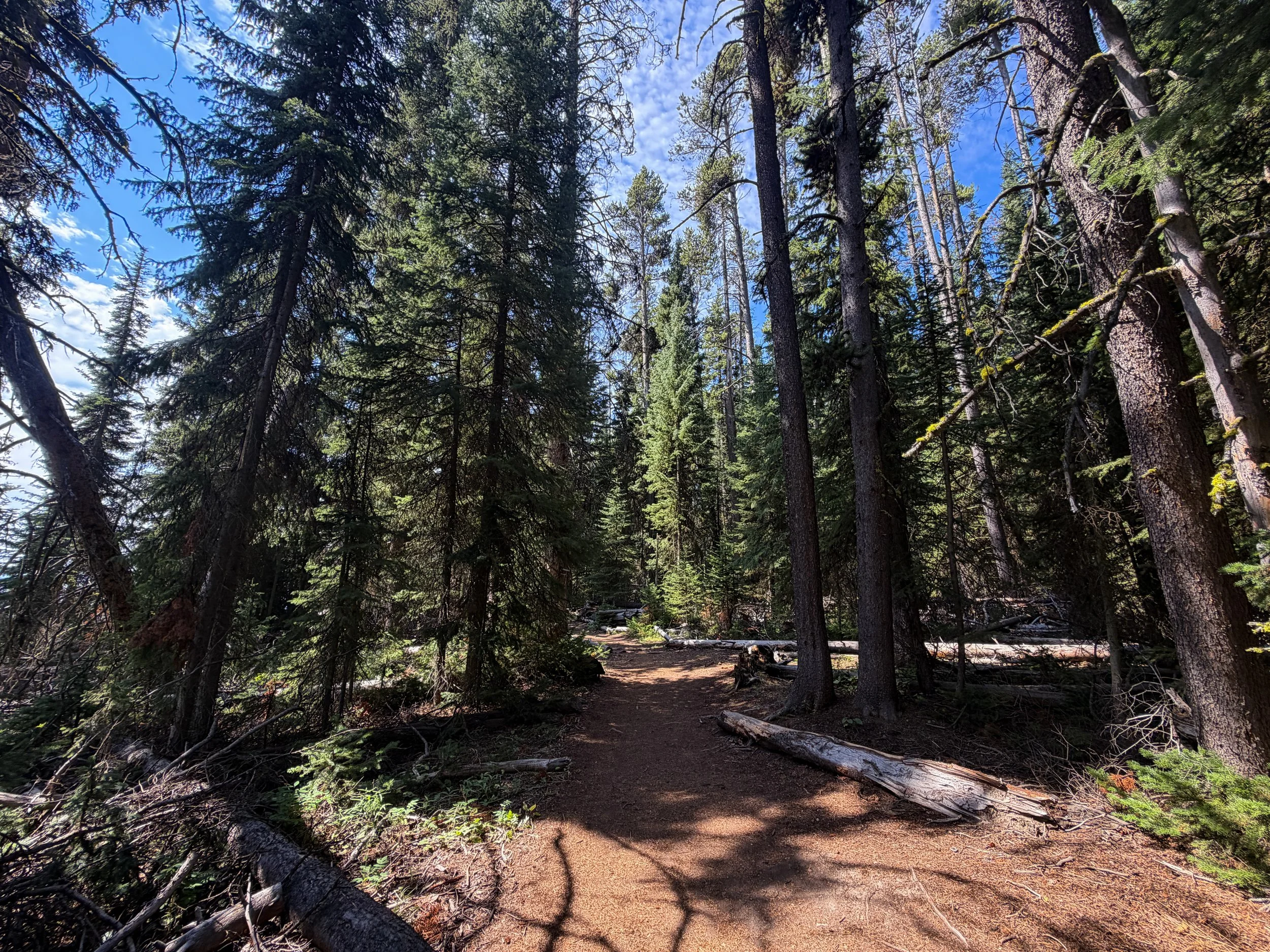 Storm Point Loop Trail Yellowstone National Park Wyoming