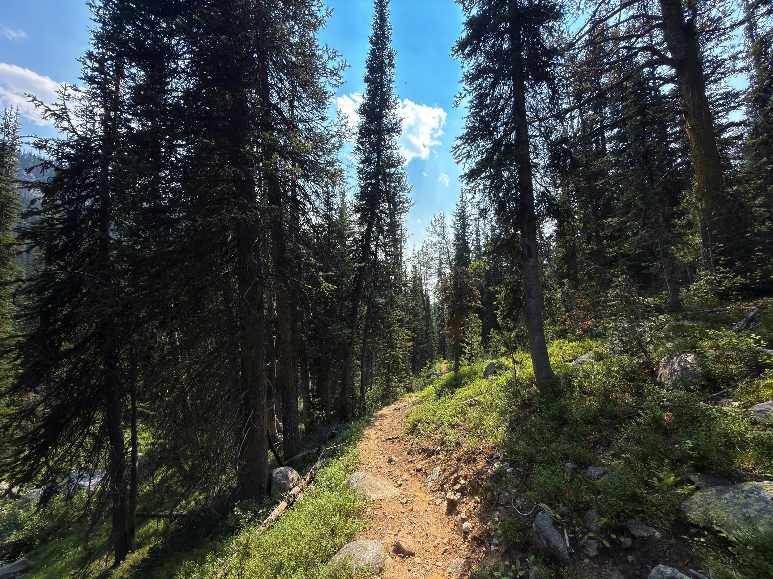 Russell Creek Trail The Beaten Path Beartooth Mountains Montana
