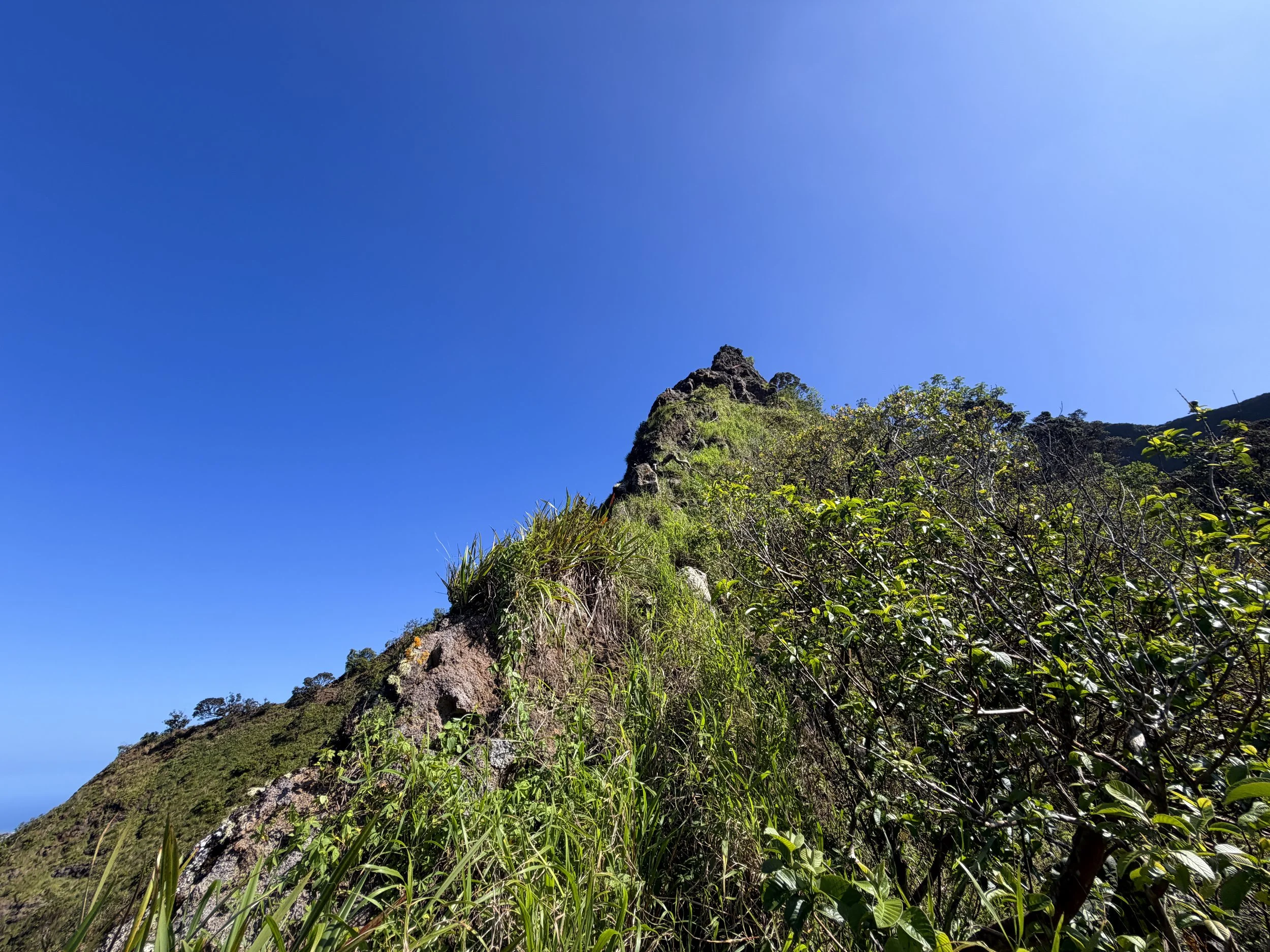 Moanalua Saddle Koolau Summit Trail Oahu Hawaii