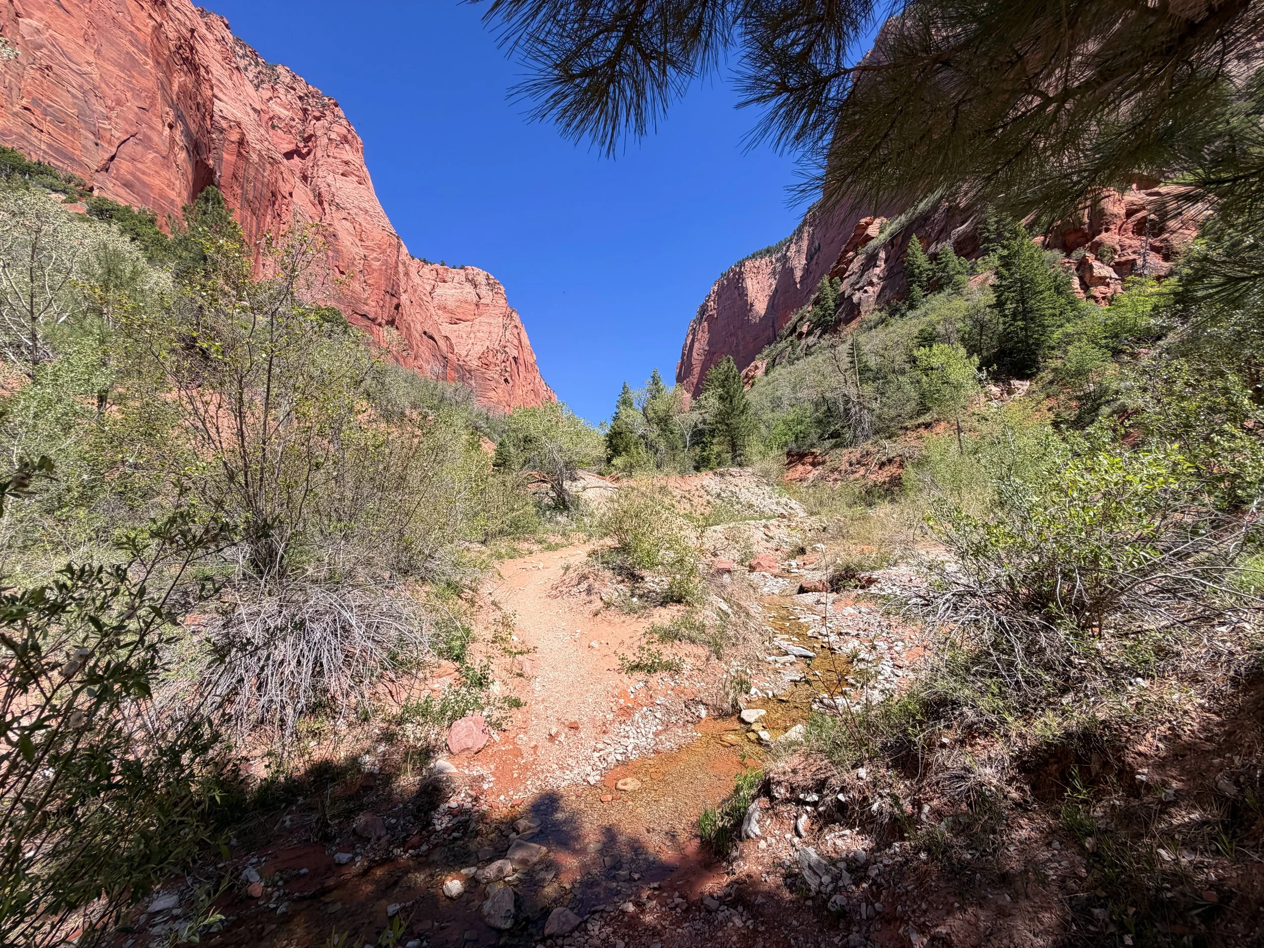 Taylor Creek Trail to Double Arch Alcove Zion National Park Utah