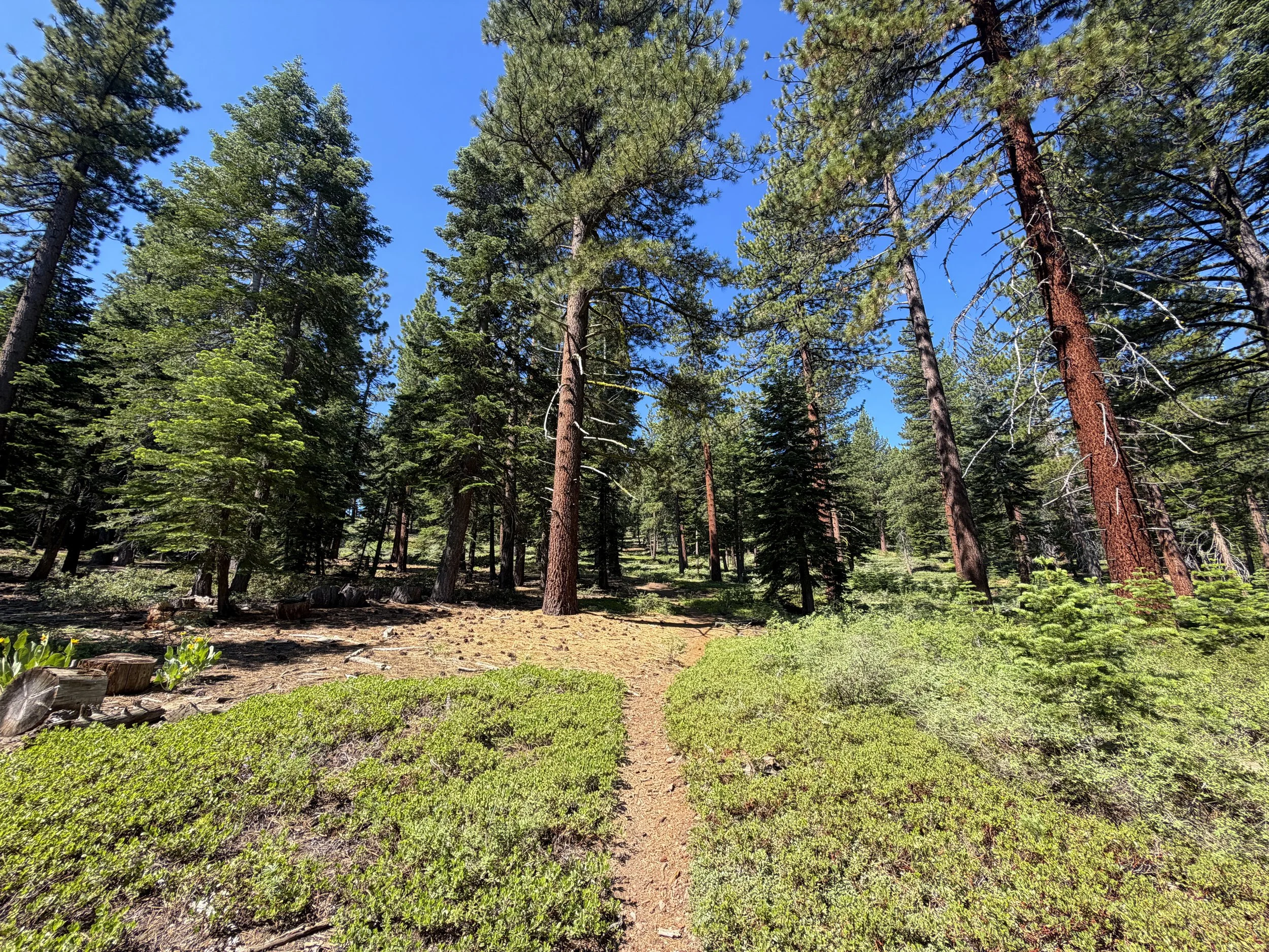 Captain Pomin Trail Lake Tahoe Nevada