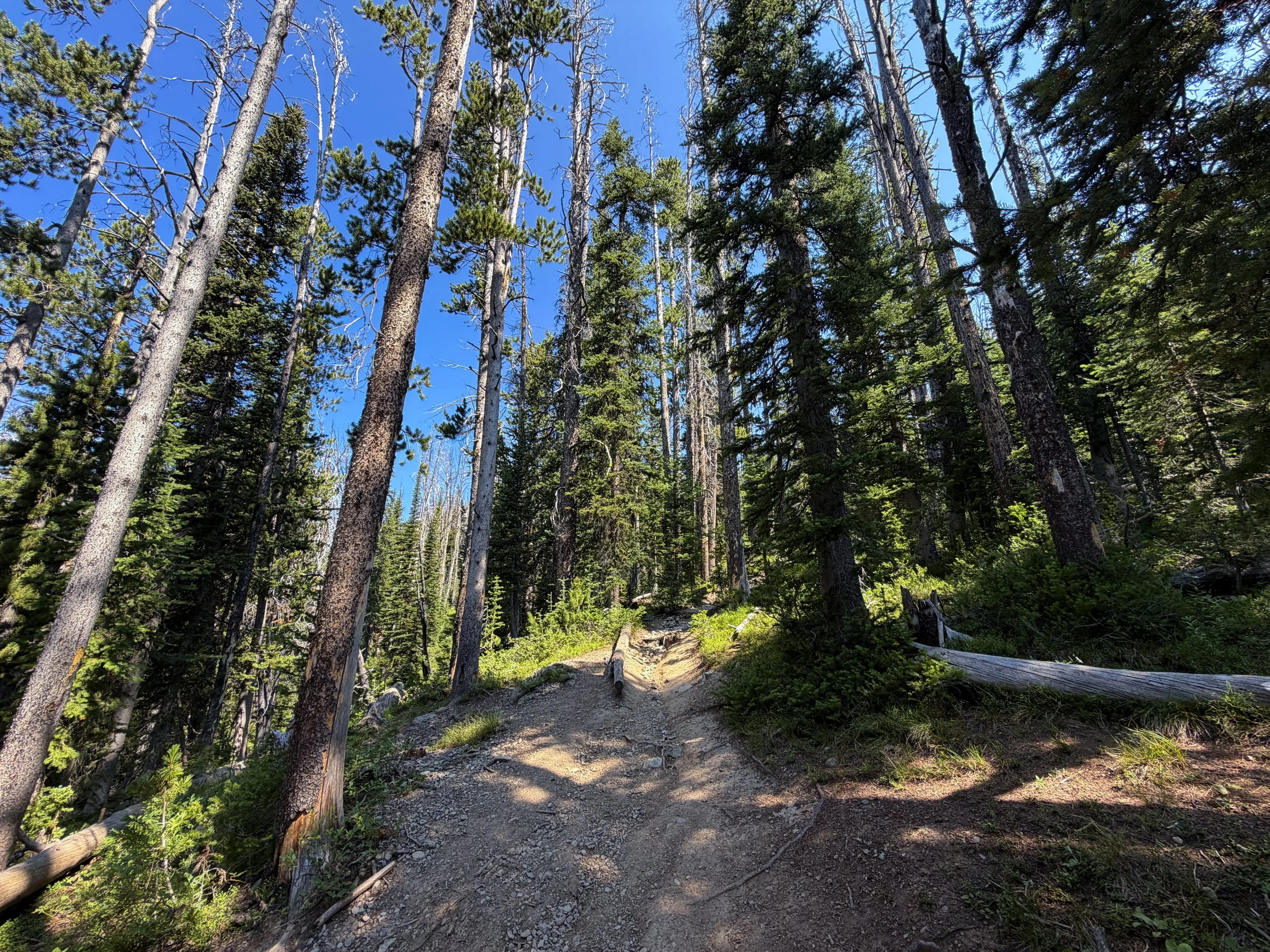 Avalanche Peak Trail Yellowstone National Park Wyoming