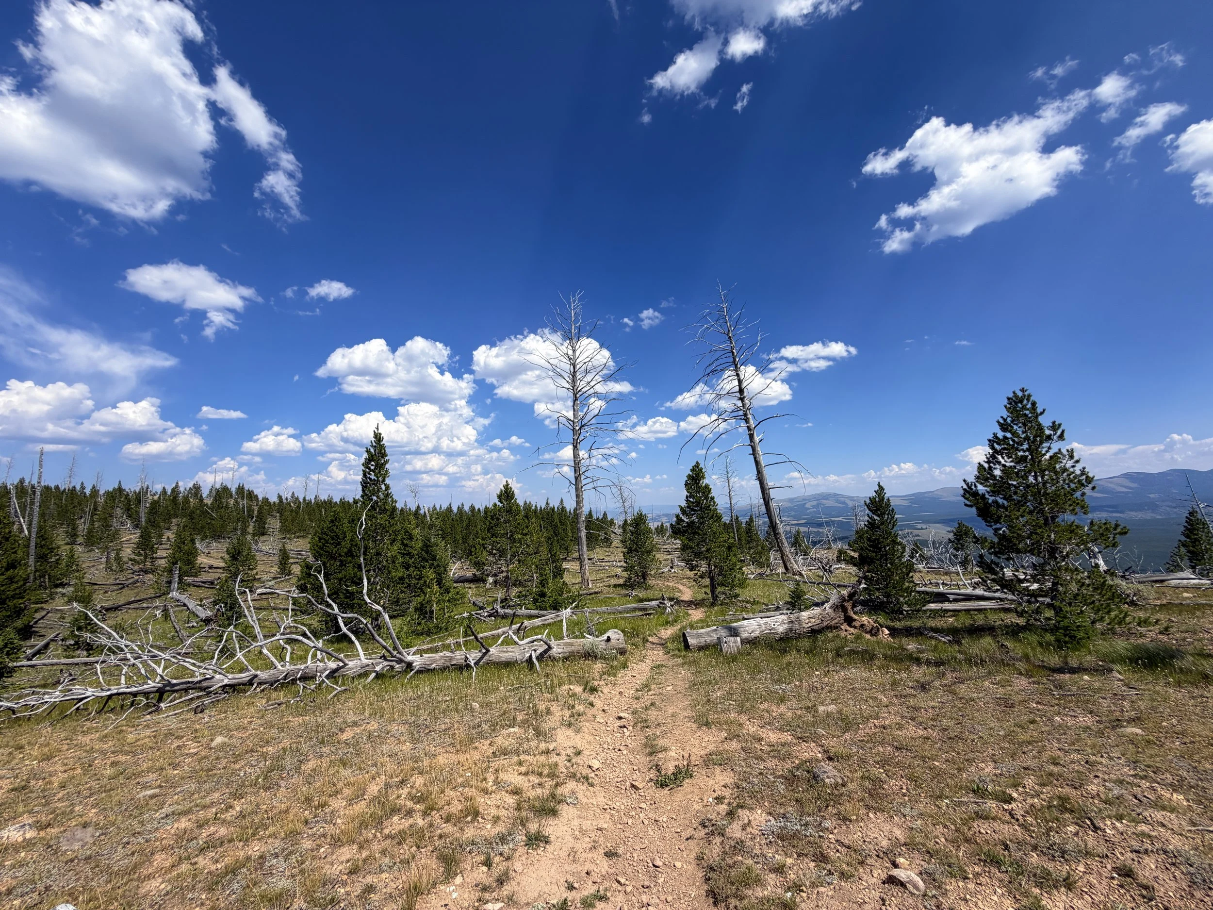 Bunsen Peak Trail to Osprey Falls Yellowstone National Park Wyoming