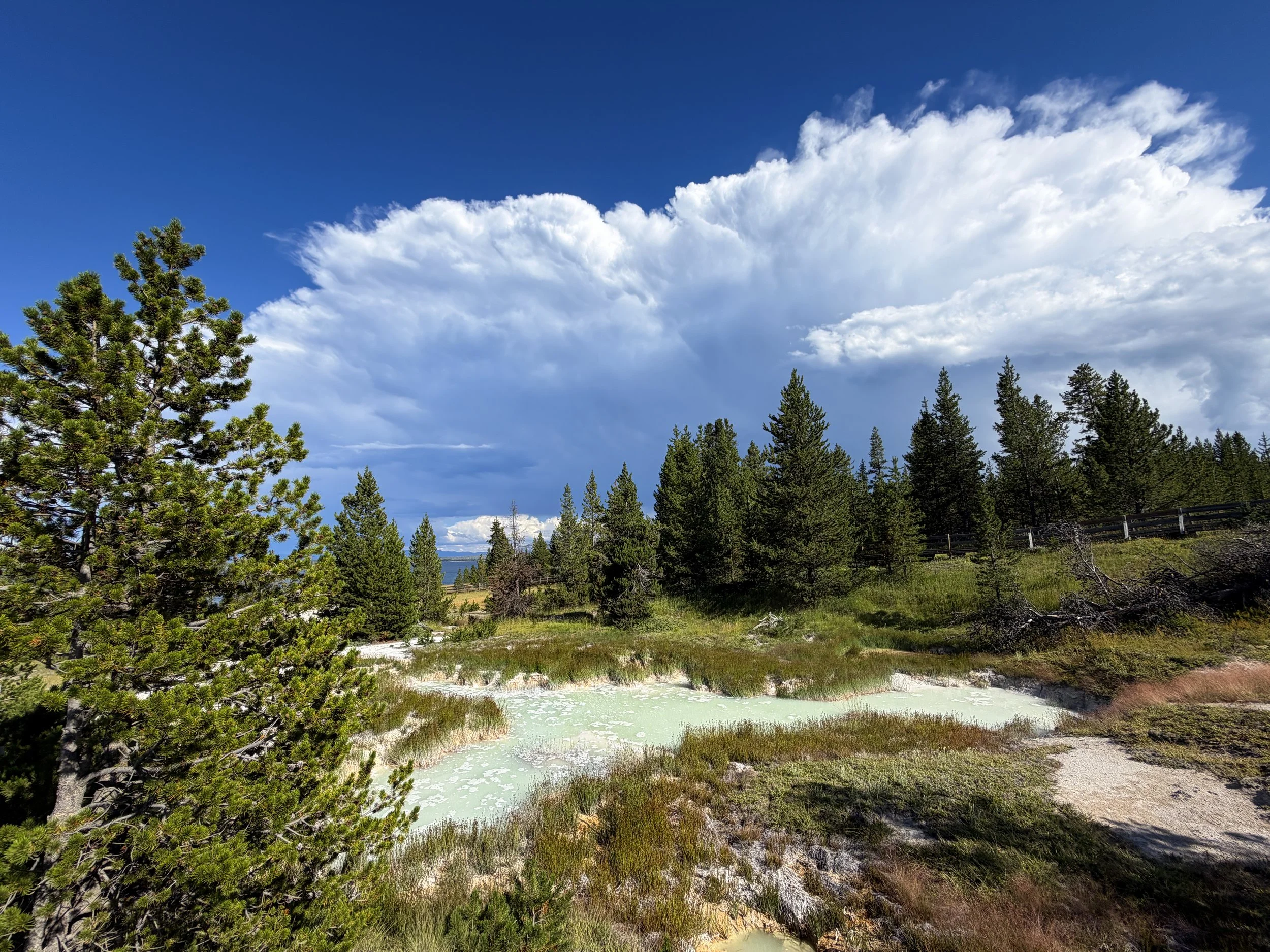 Thumb Paint Pots West Thumb Geyser Basin Trail Yellowstone National Park Wyoming