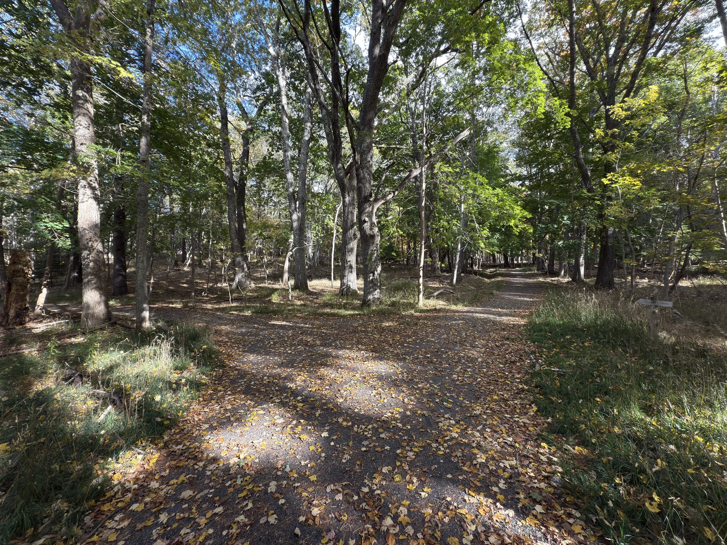 Hiking the Compass Harbor Trail in Acadia National Park — noahawaii