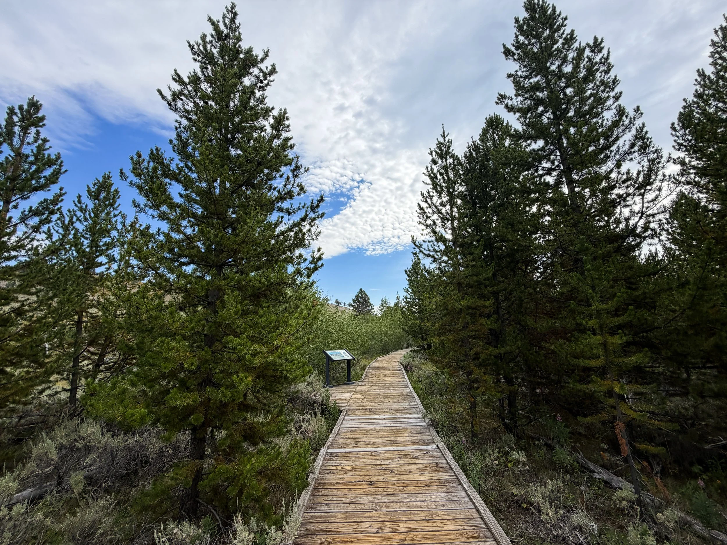 Forces of the Northern Range Trail Yellowstone National Park Wyoming