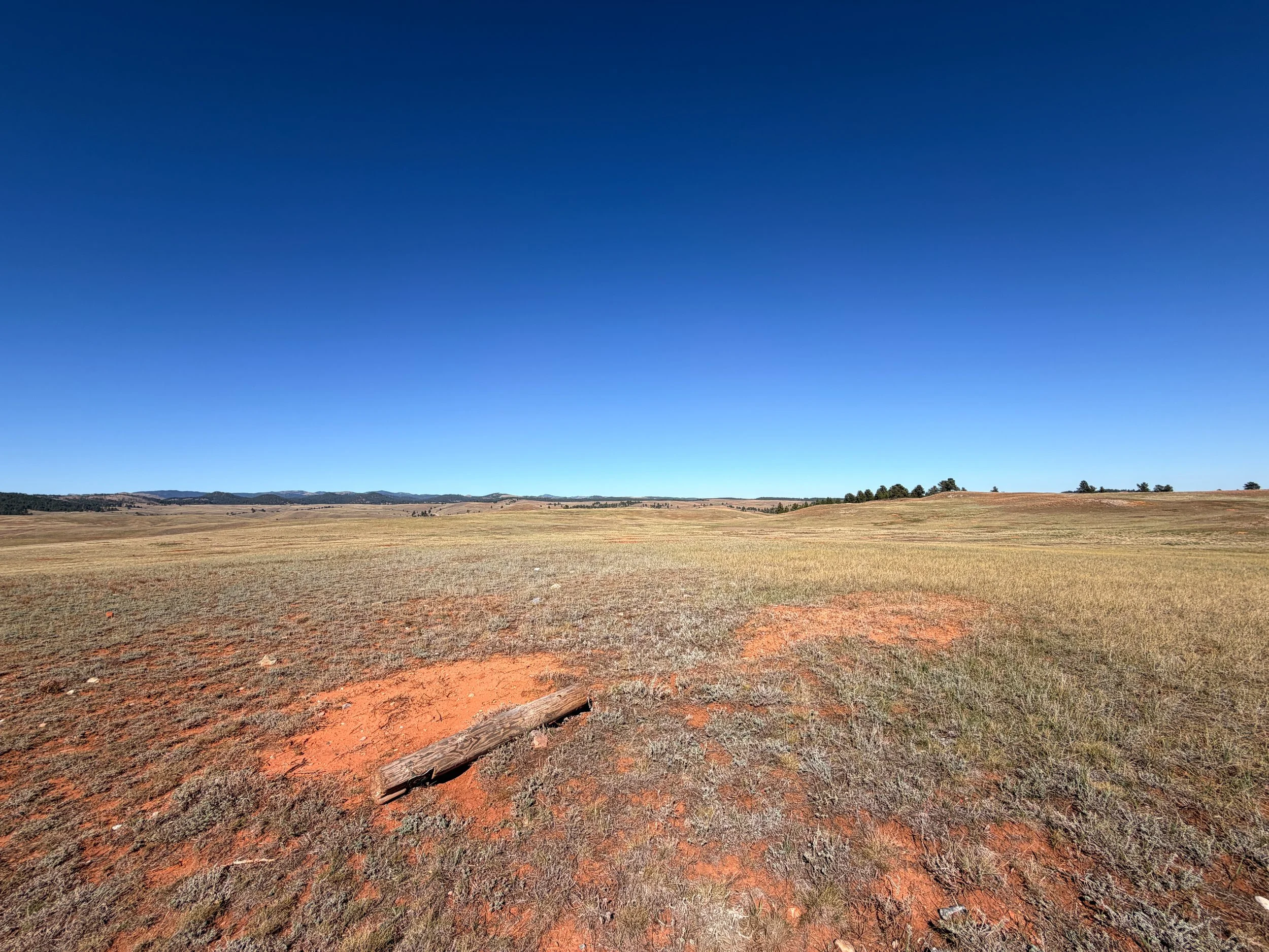 East Bison Flats Trail Wind Cave National Park South Dakota