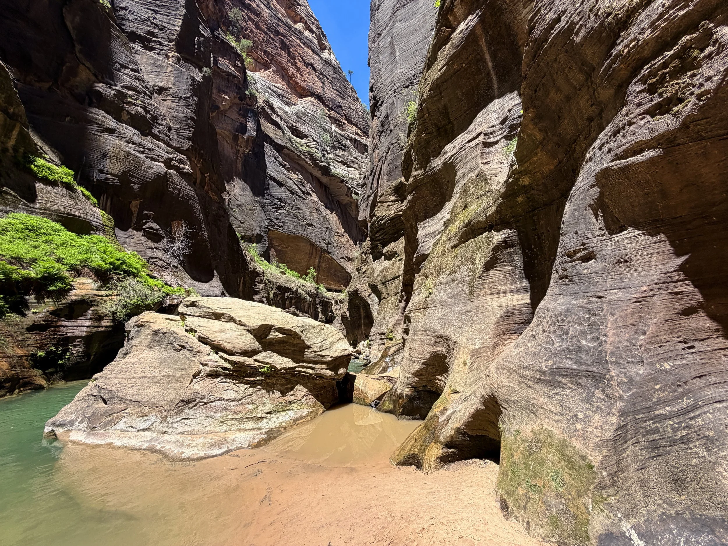 Wall Street Narrows Zion National Park Utah