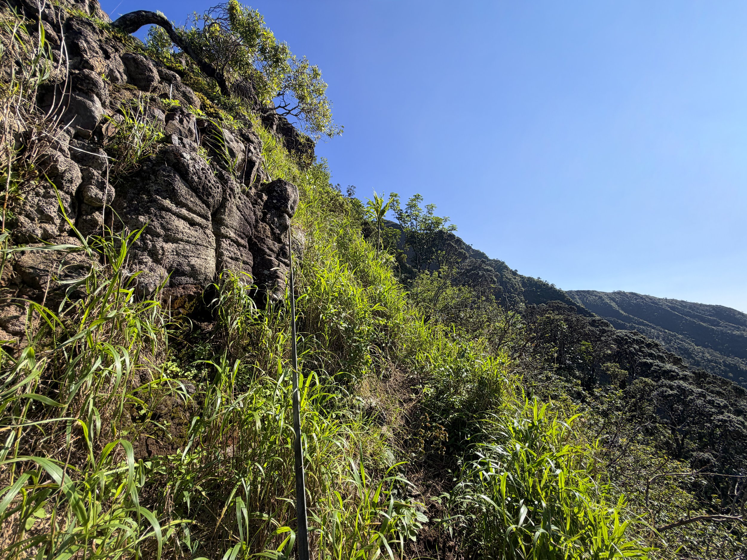 Moanalua Saddle Ropes Koolau Summit Trail Oahu Hawaii