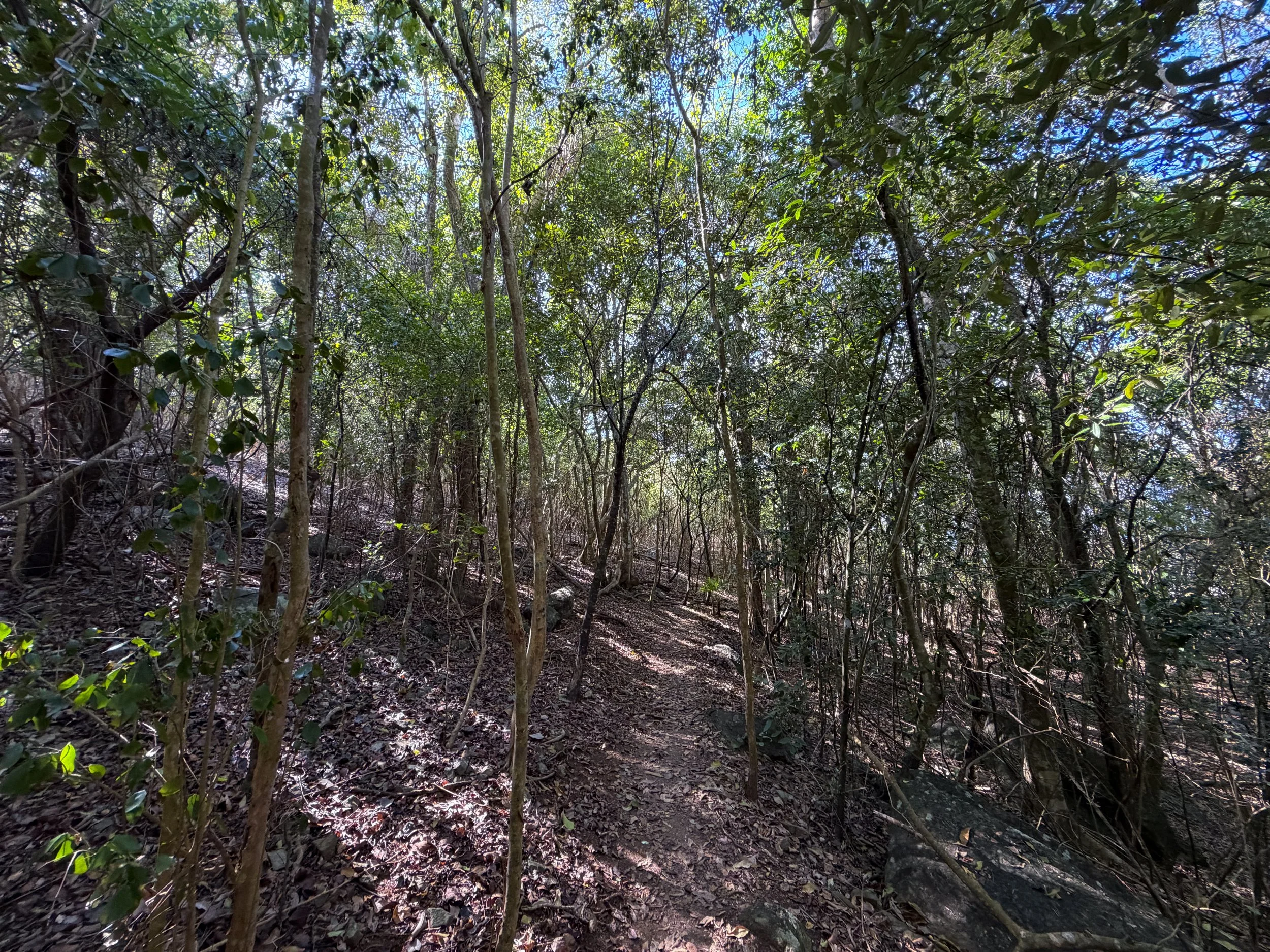 Denis Bay Hike to Oppenheimer Beach Virgin Islands National Park