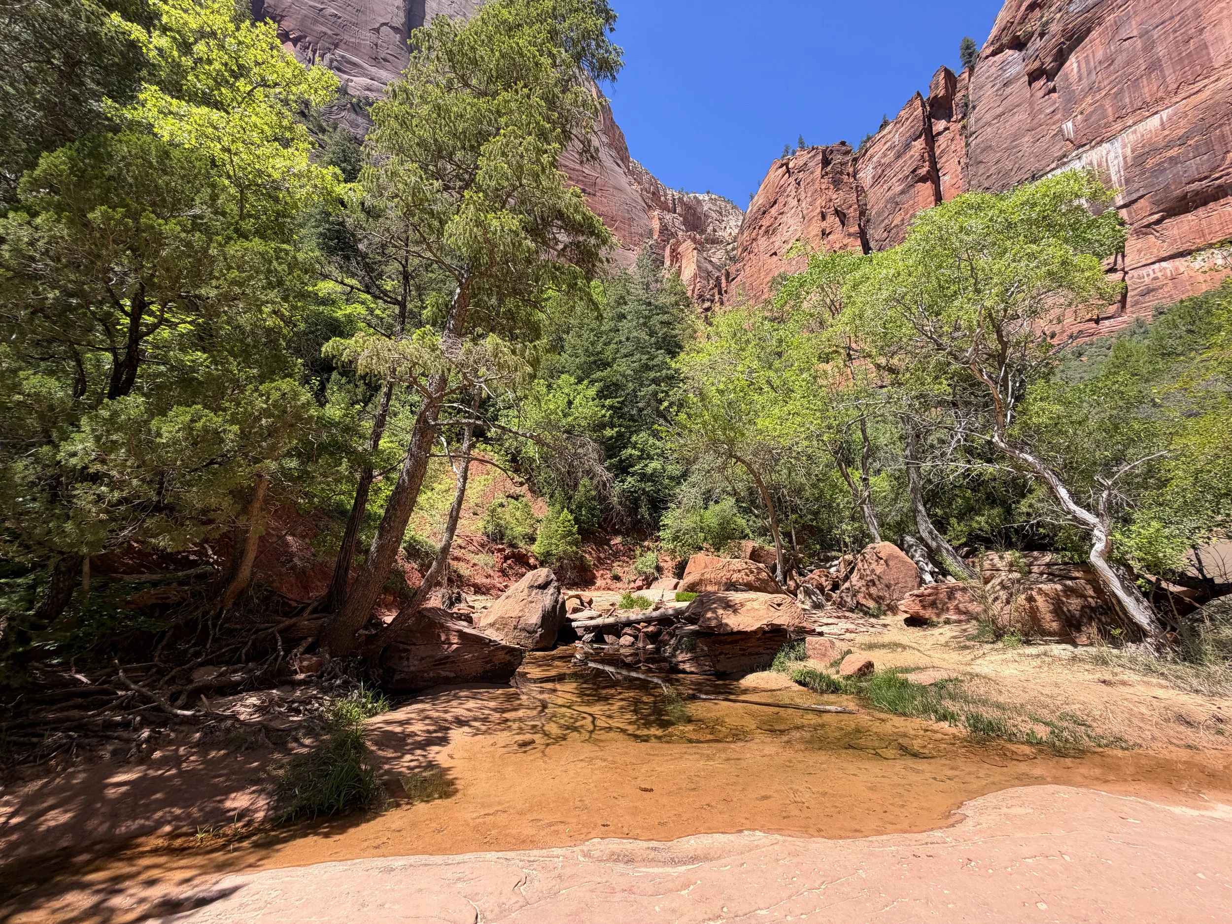 Middle Emerald Pool Zion National Park Utah