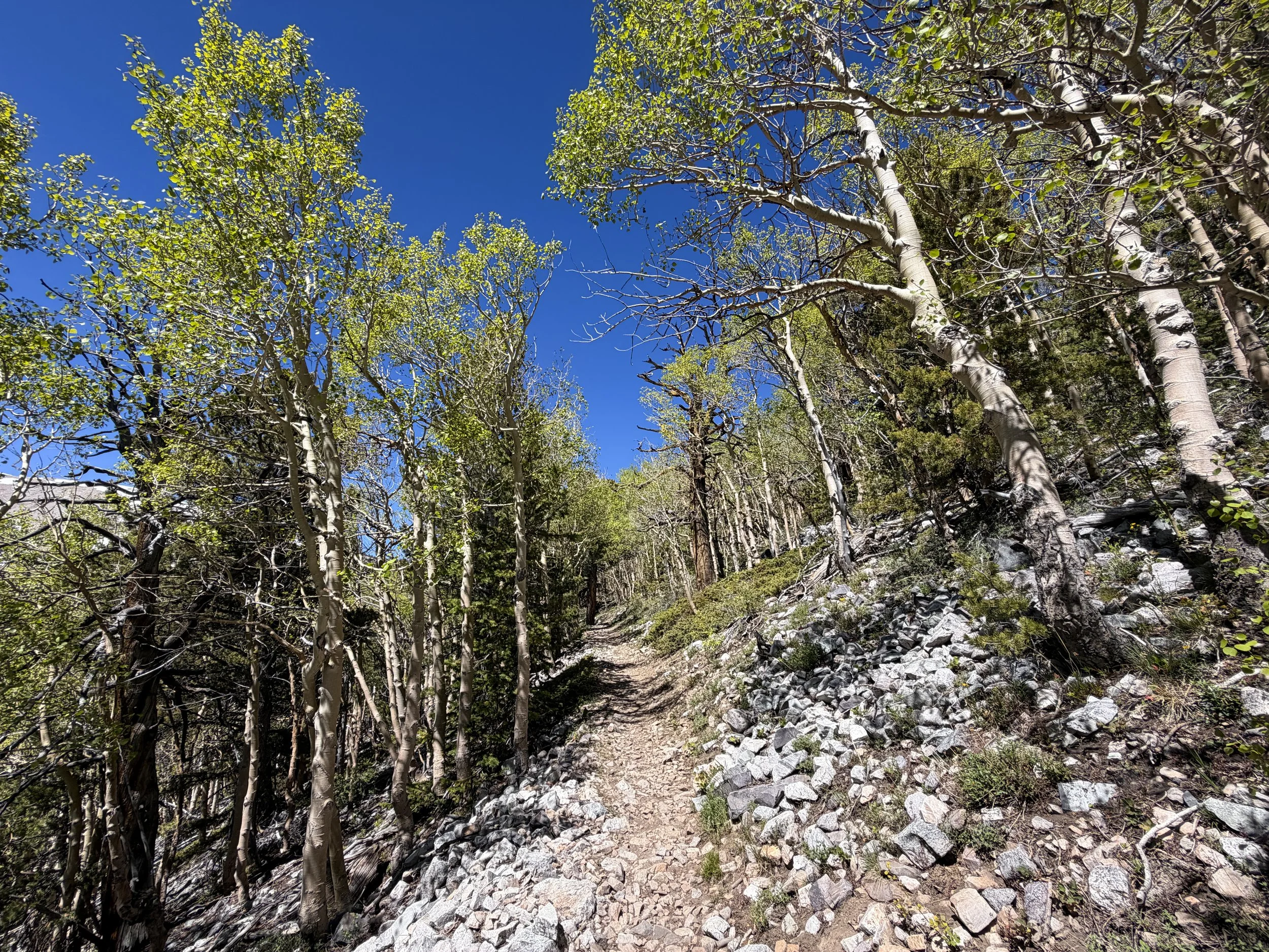 Wheeler Peak Summit Hike Great Basin National Park Nevada