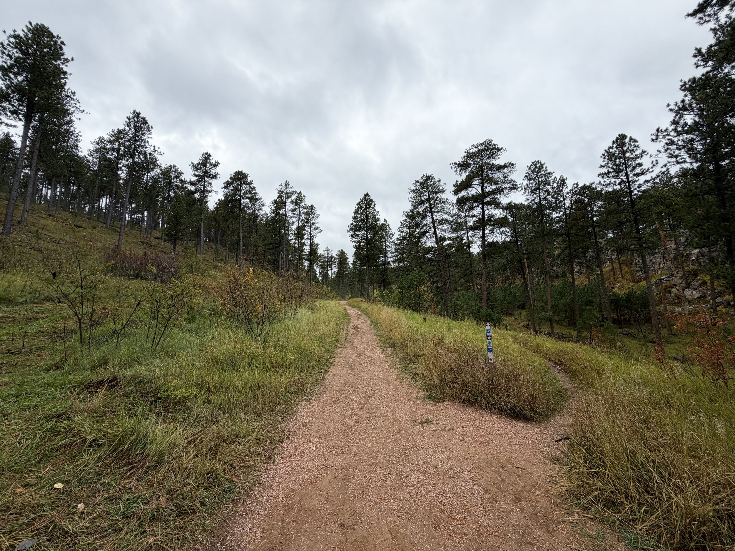 Buzzards Roost Trail Black Hills South Dakota